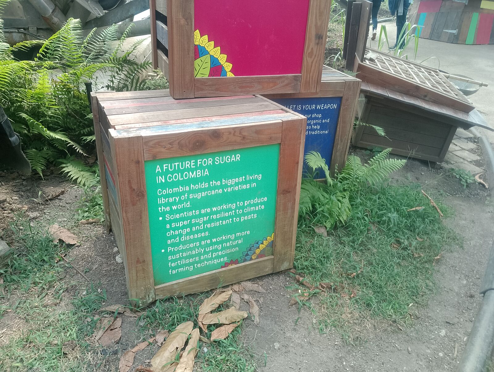 Eden Project