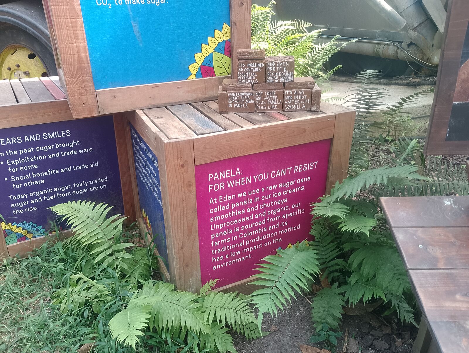 Eden Project