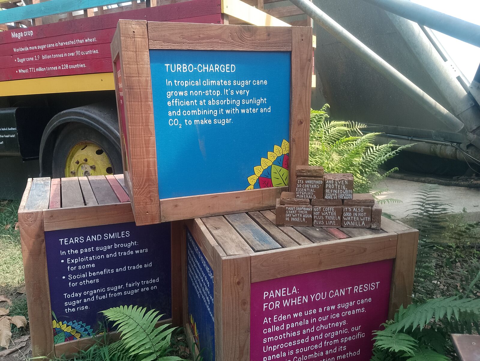Eden Project