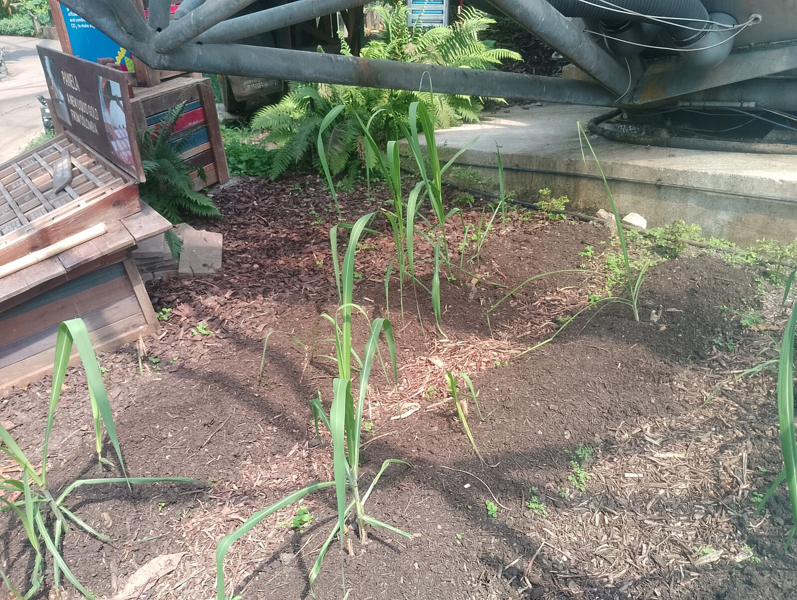 Eden Project