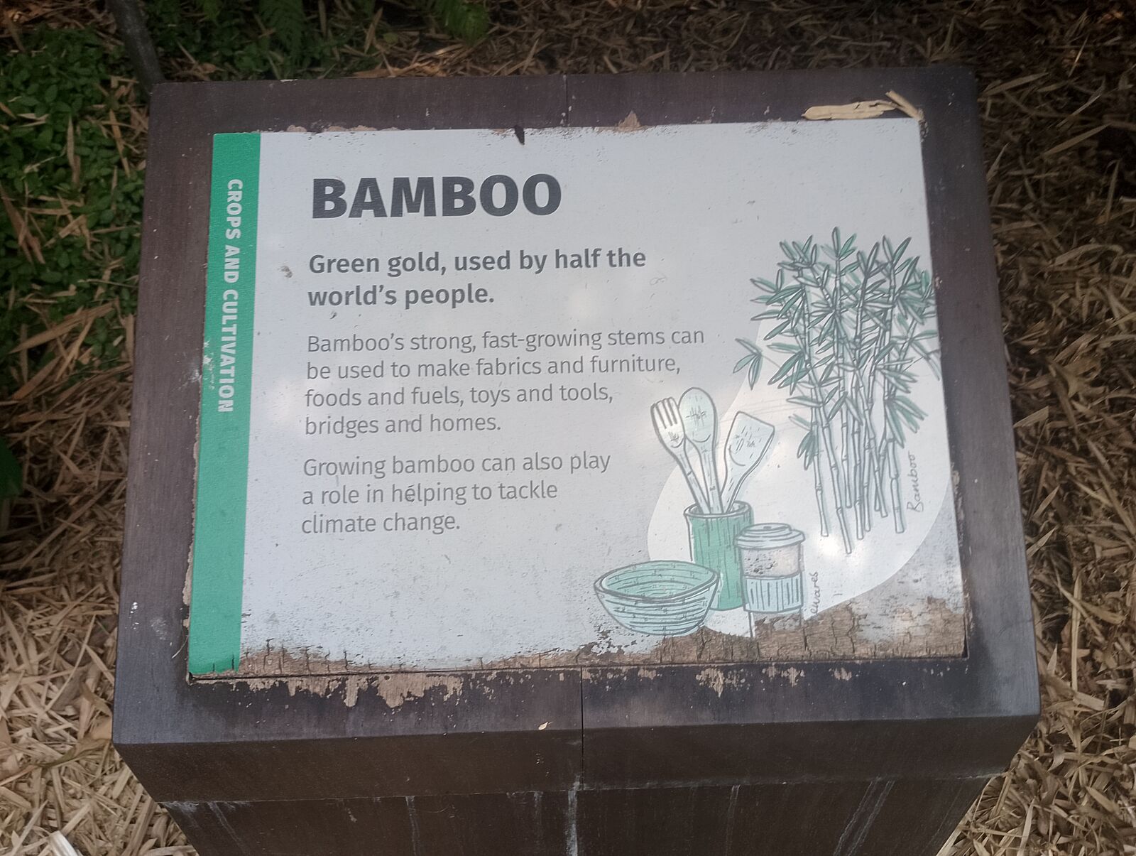 Eden Project