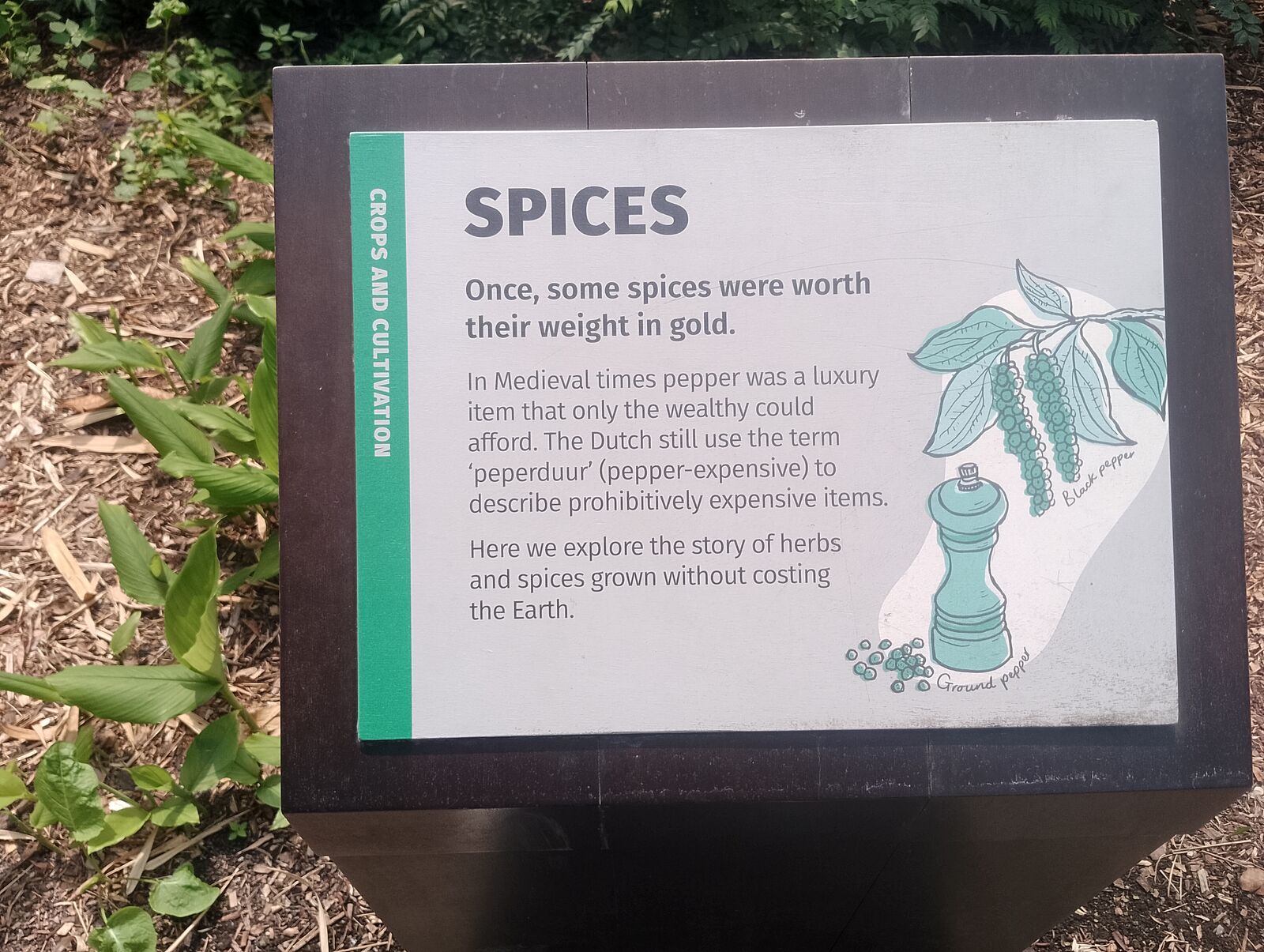 Eden Project