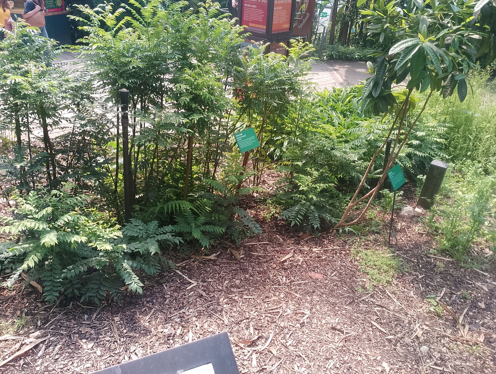 Eden Project