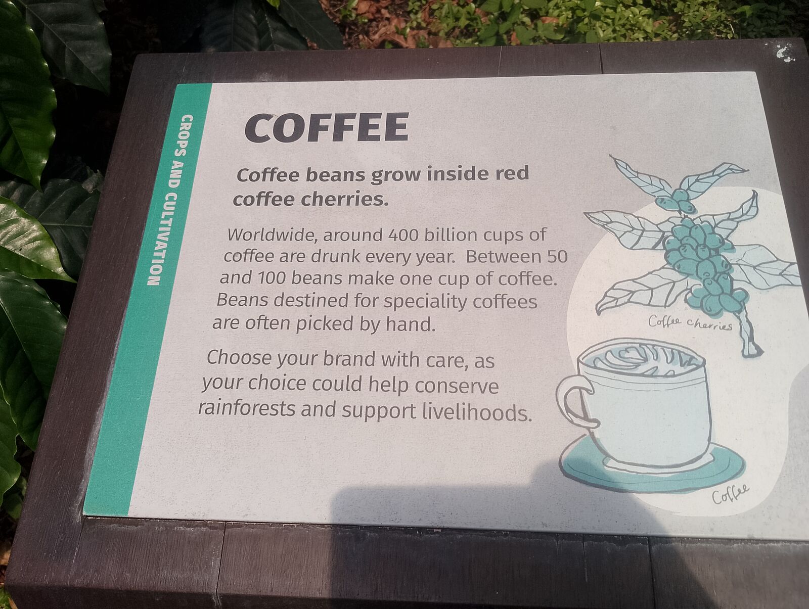 Eden Project