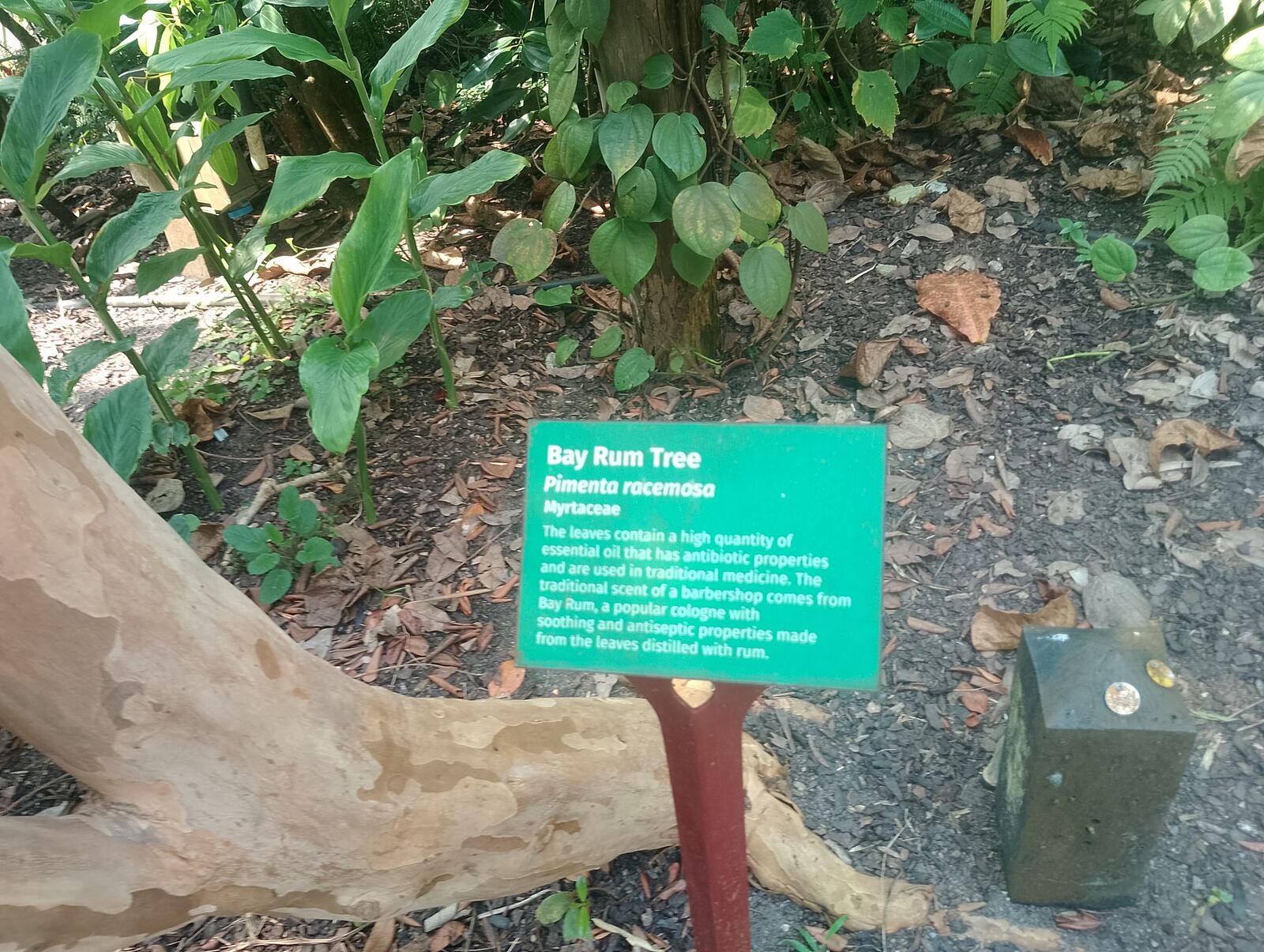 Eden Project