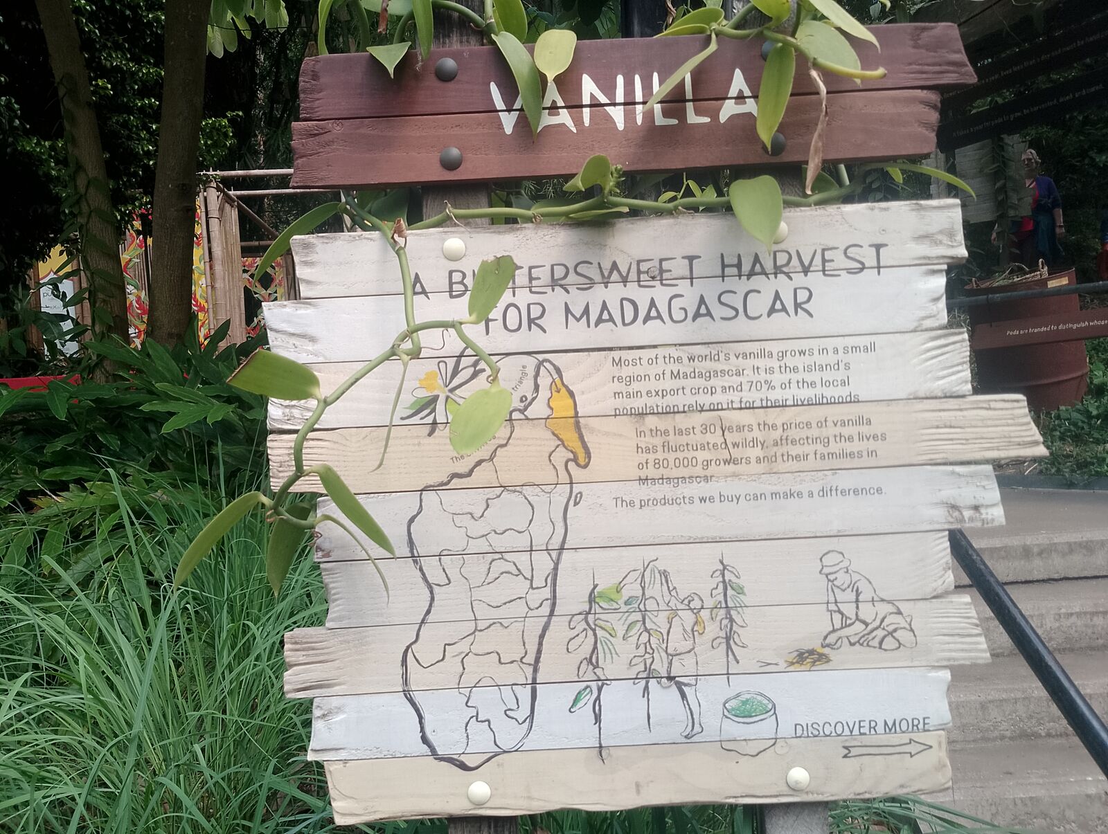 Eden Project