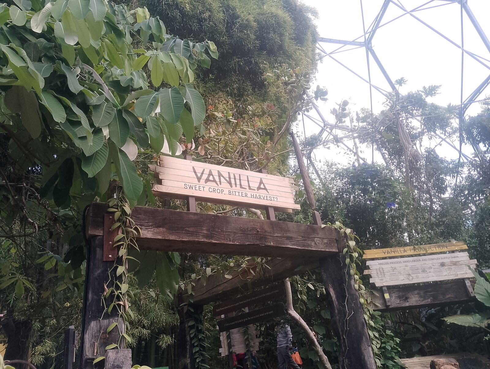 Eden Project