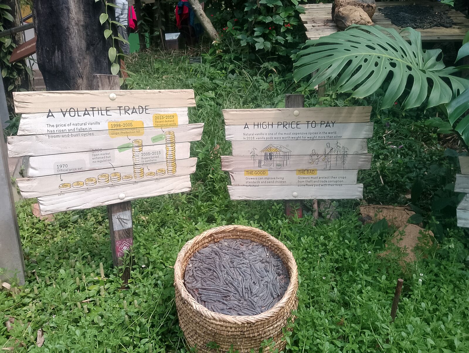 Eden Project