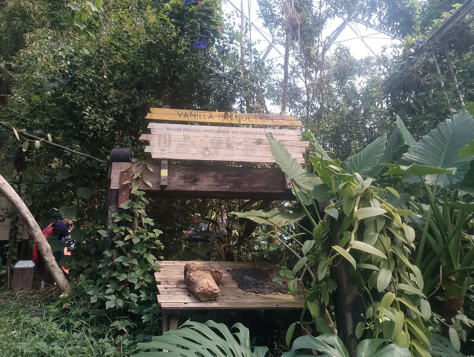 Eden Project