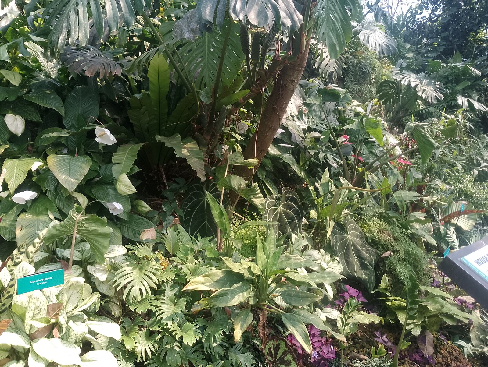 Eden Project