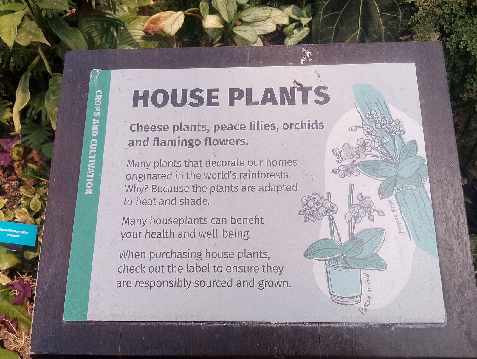 Eden Project
