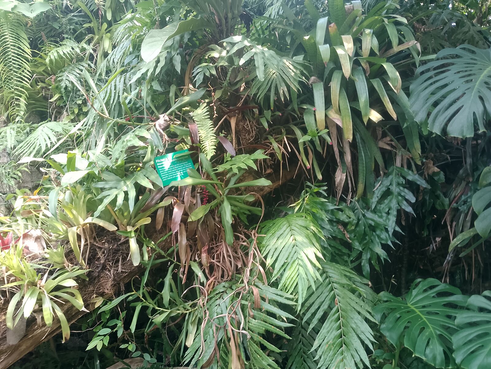 Eden Project