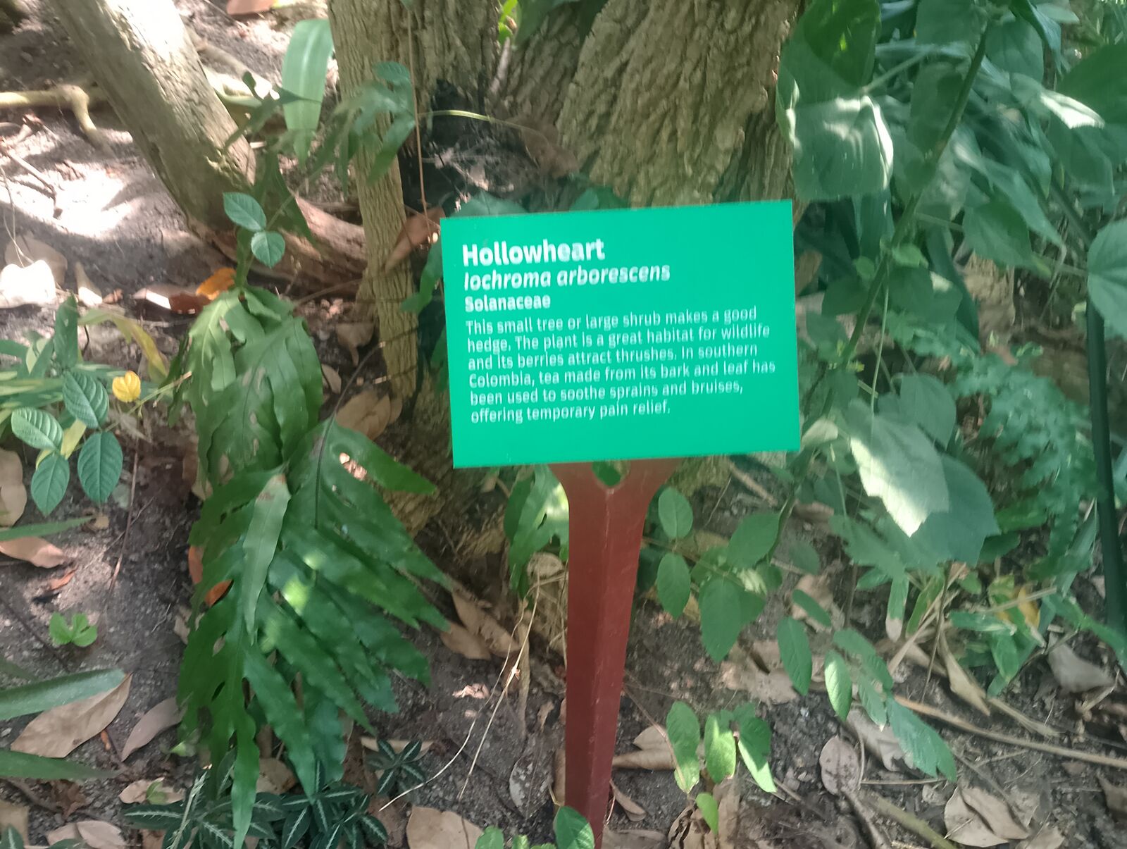 Eden Project
