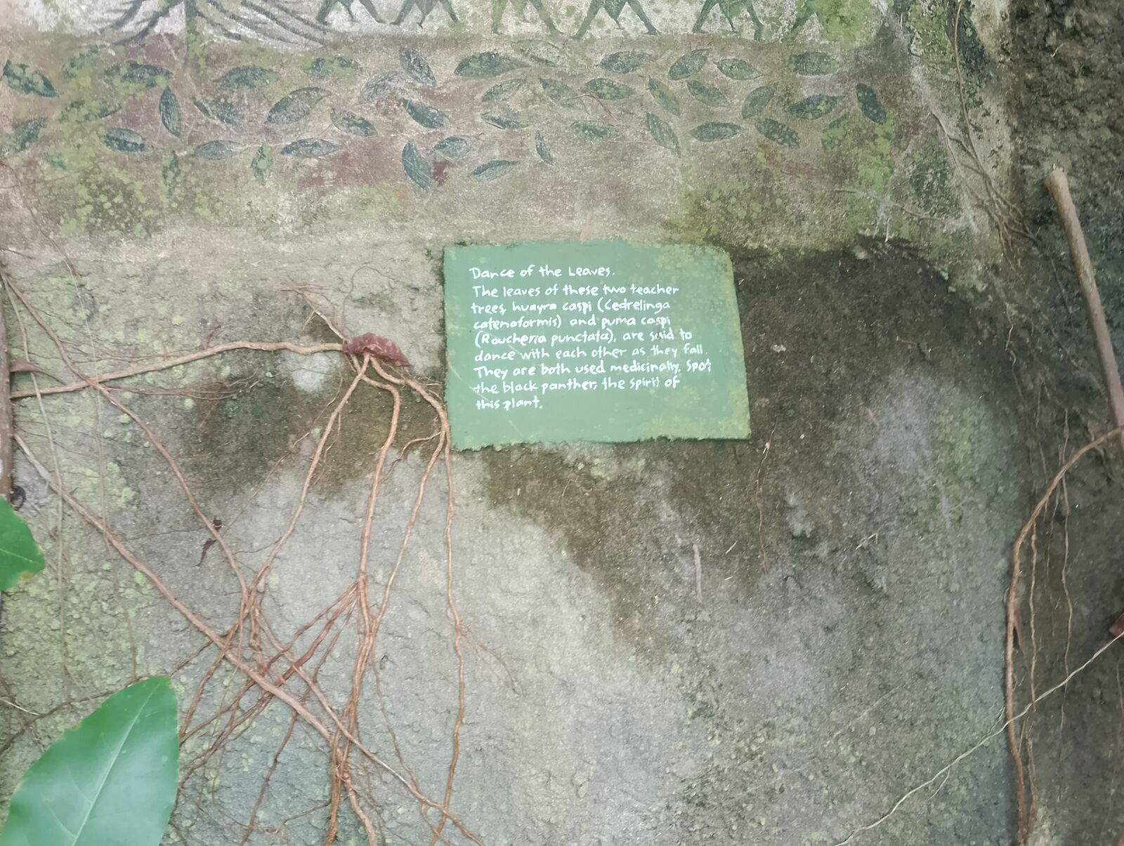 Eden Project