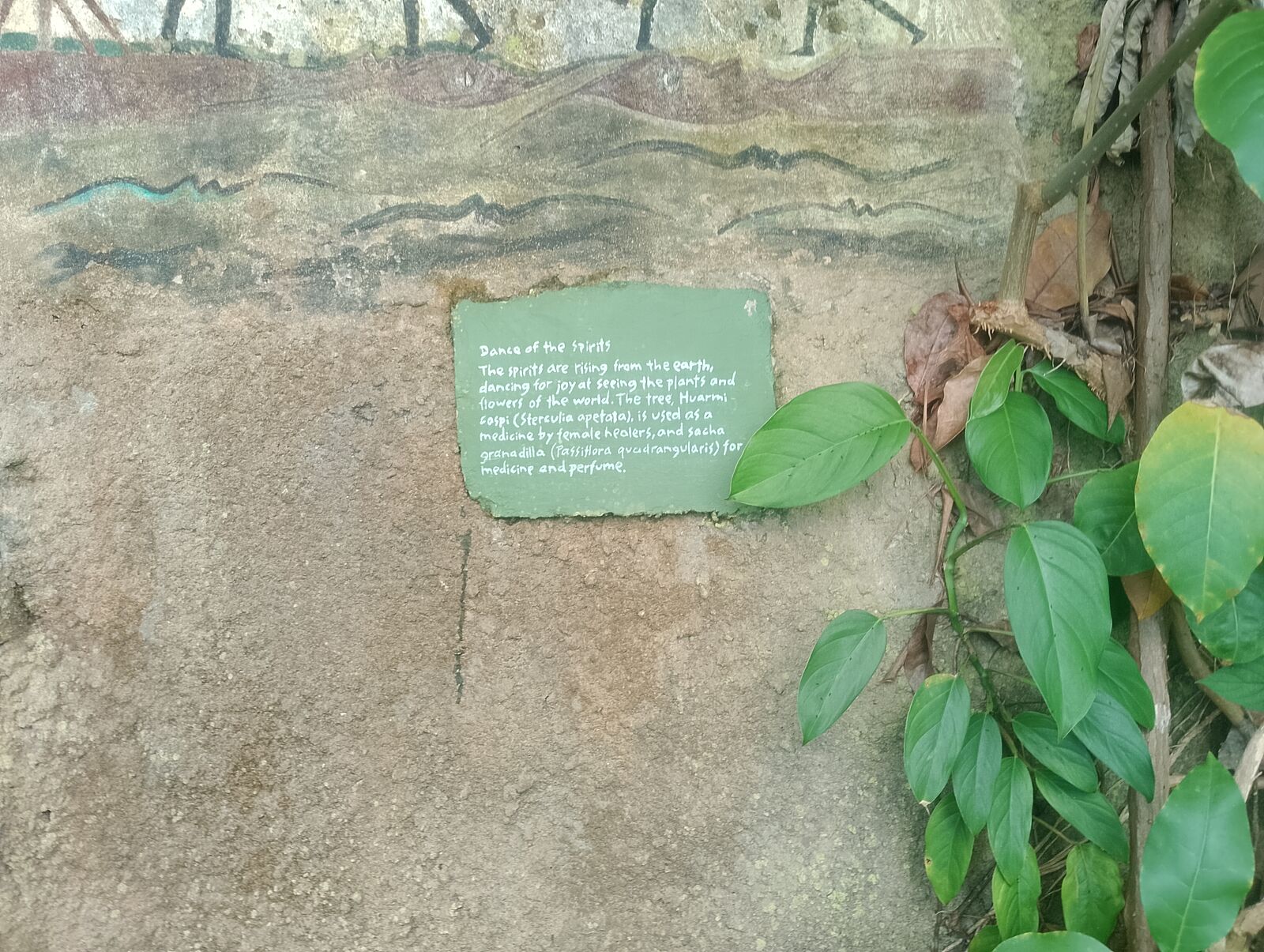 Eden Project