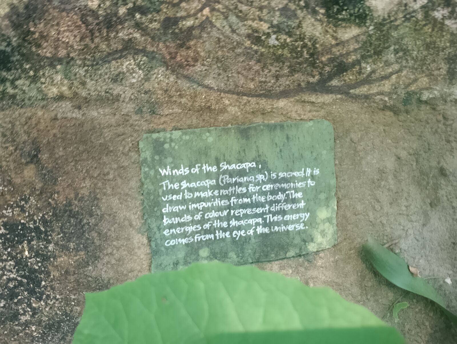 Eden Project