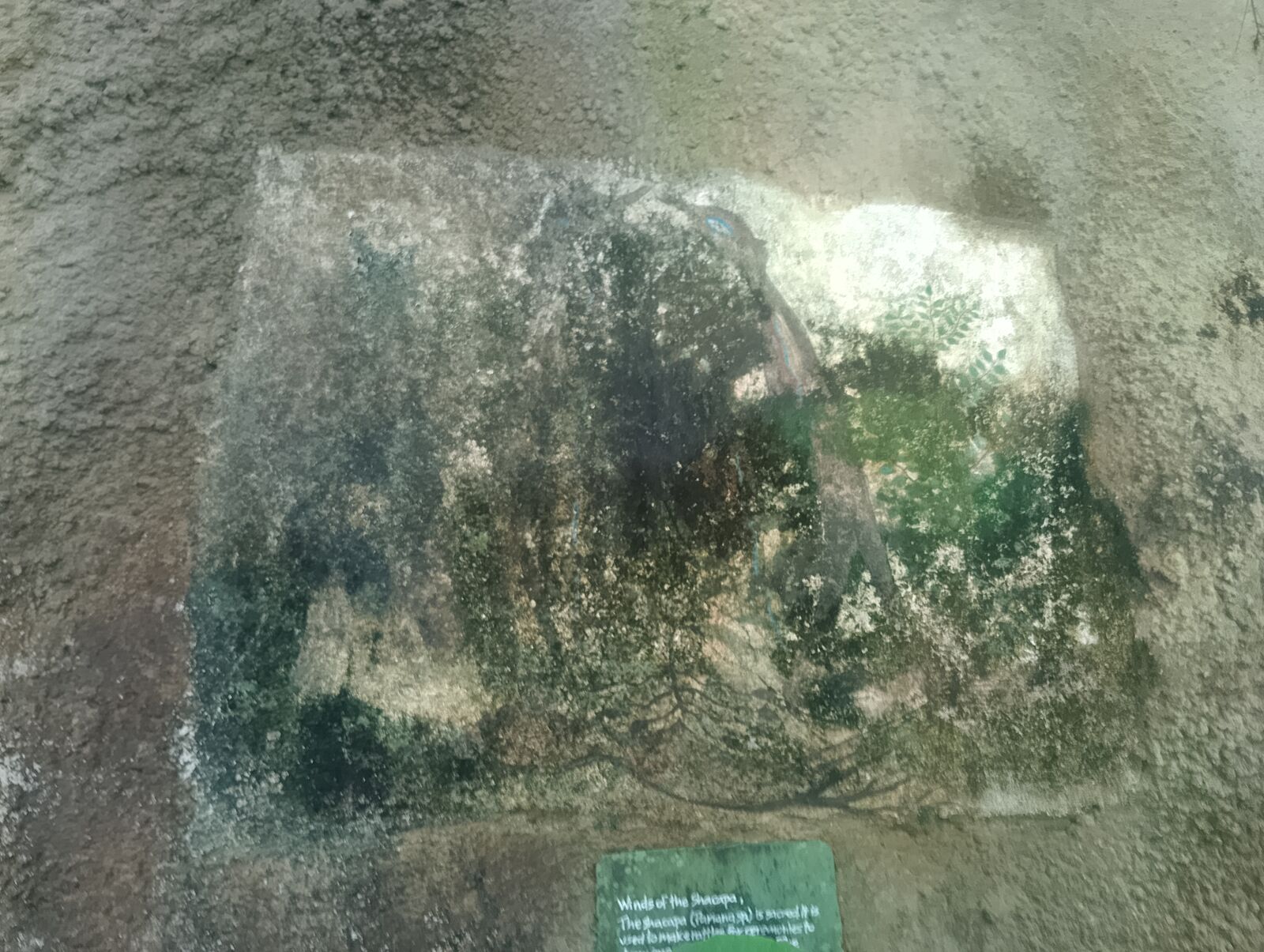 Eden Project