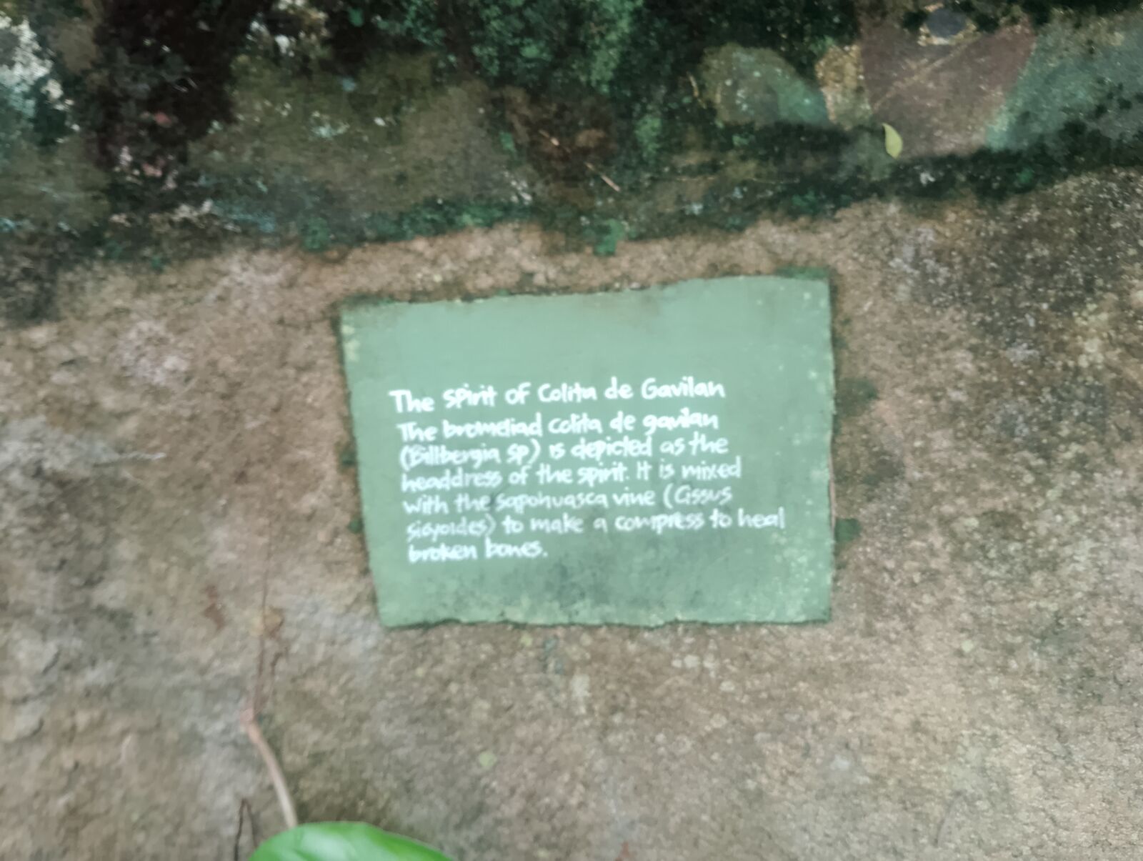 Eden Project