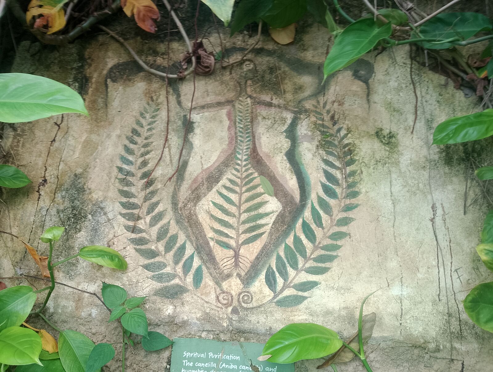 Eden Project