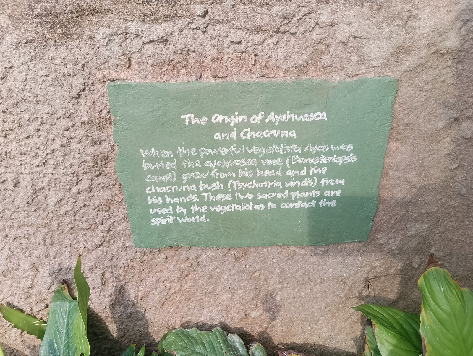 Eden Project