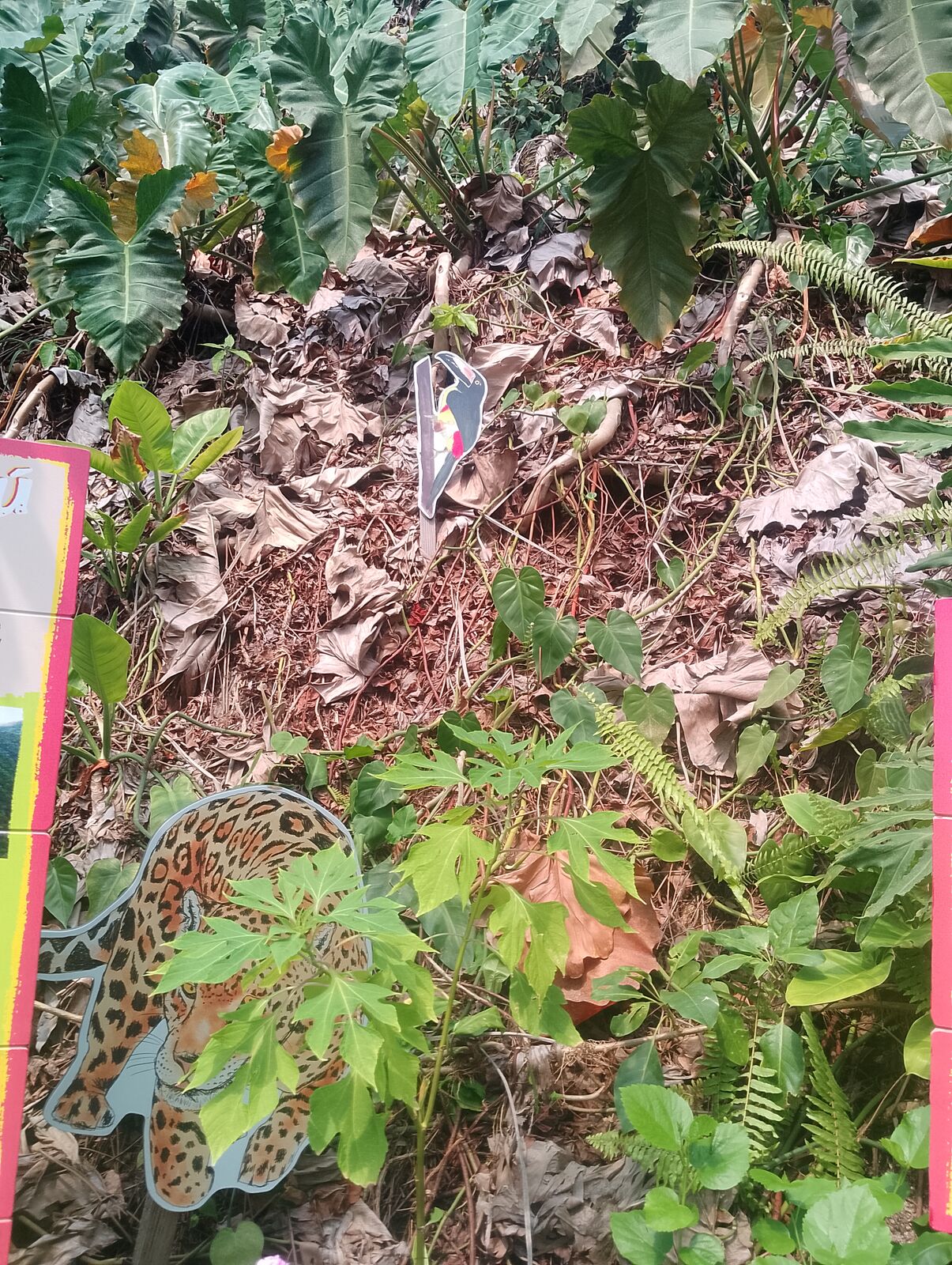 Eden Project