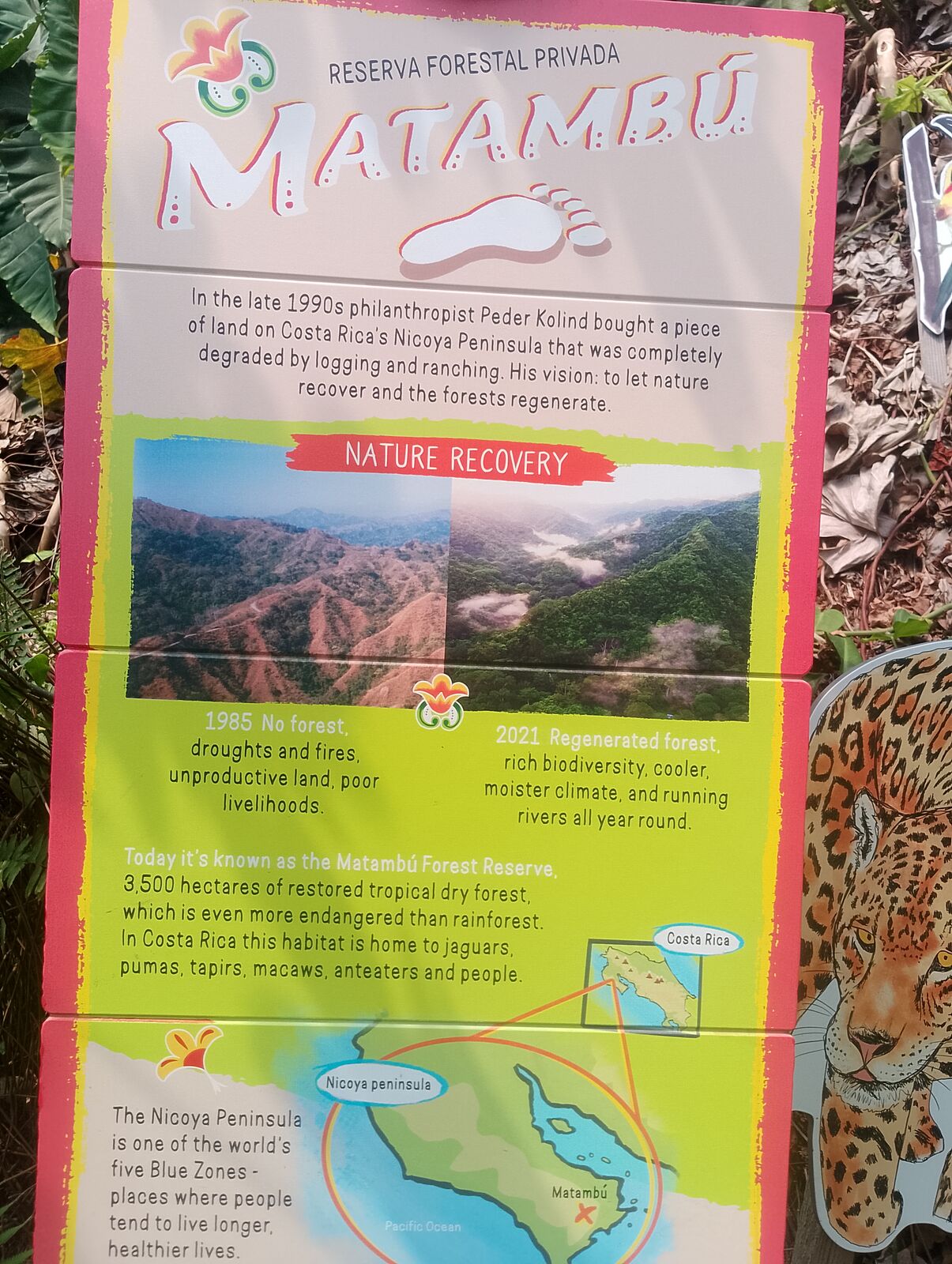 Eden Project