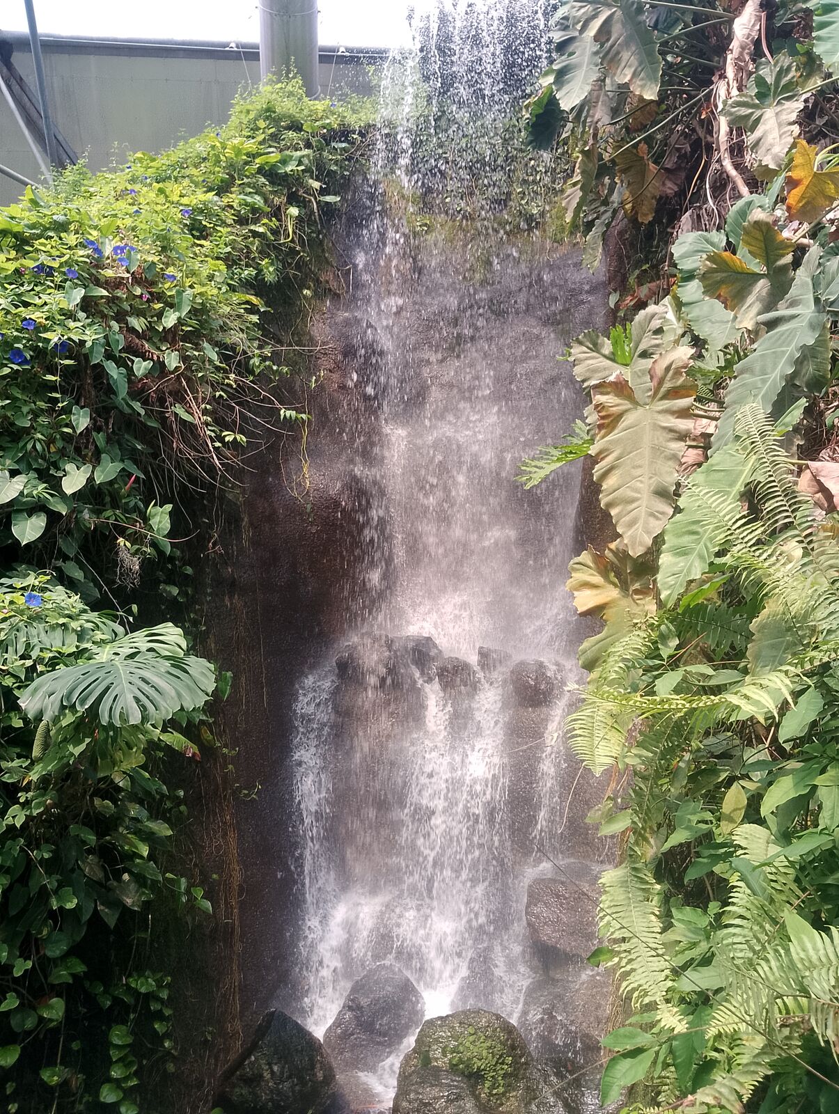 Eden Project