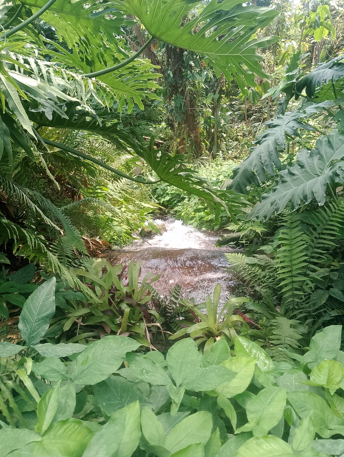 Eden Project