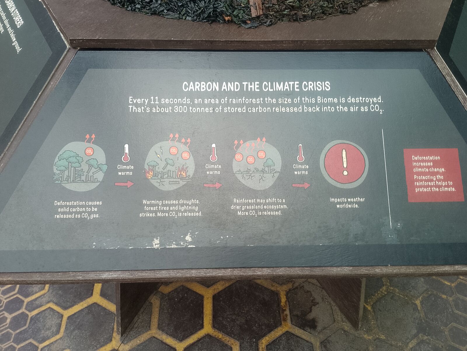 Eden Project