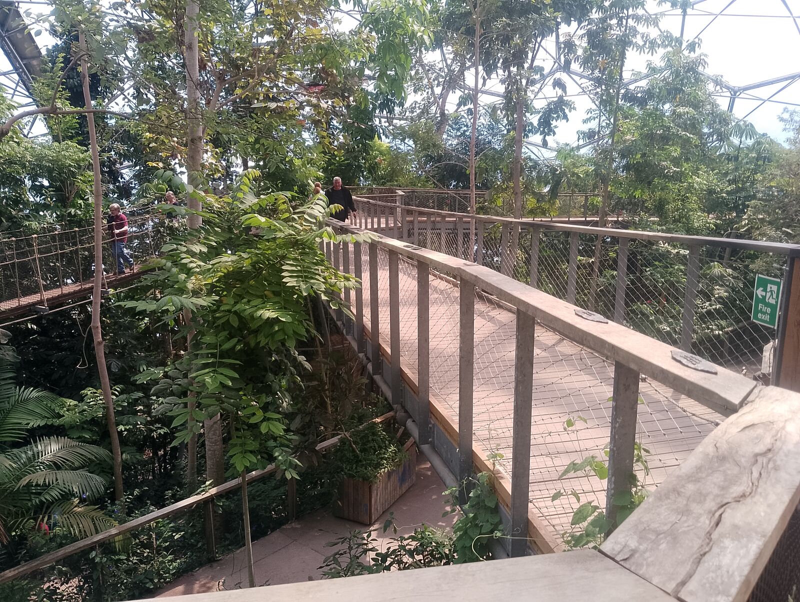 Eden Project