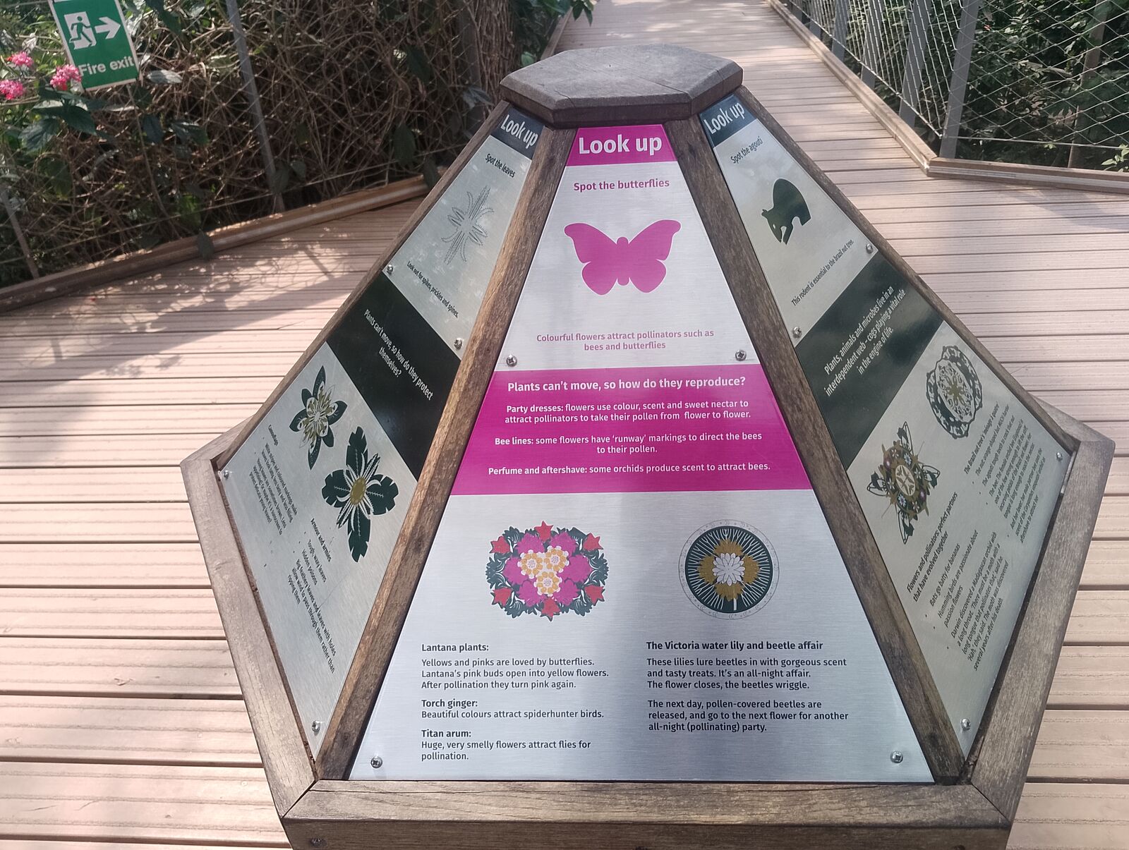 Eden Project