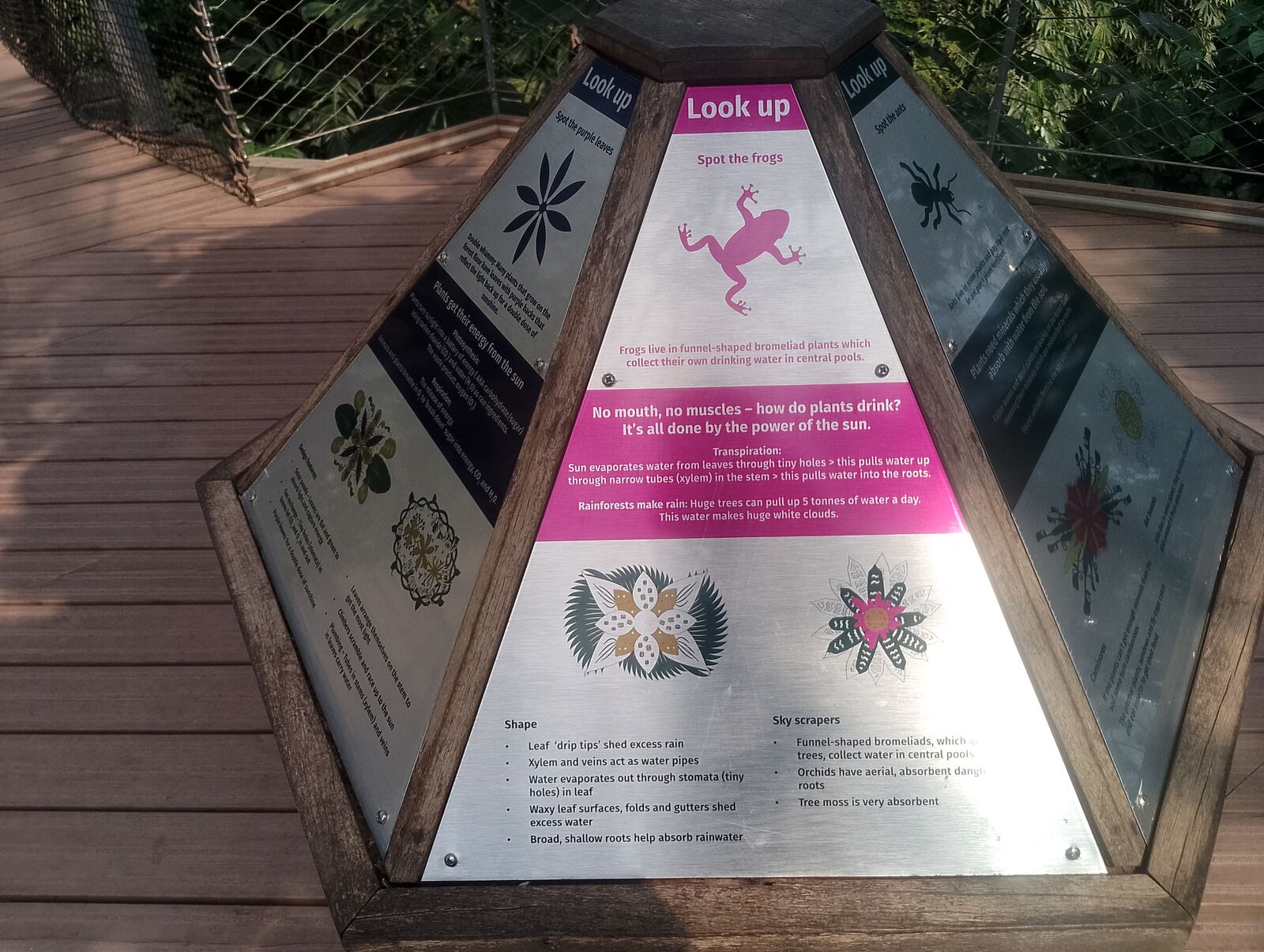 Eden Project
