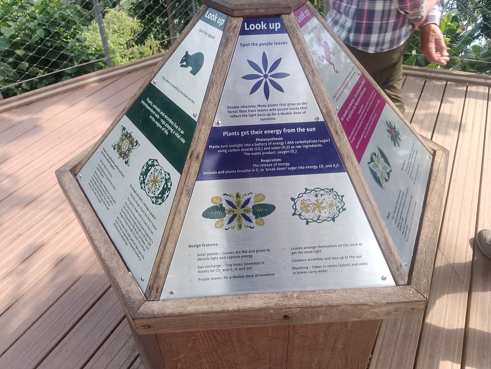 Eden Project