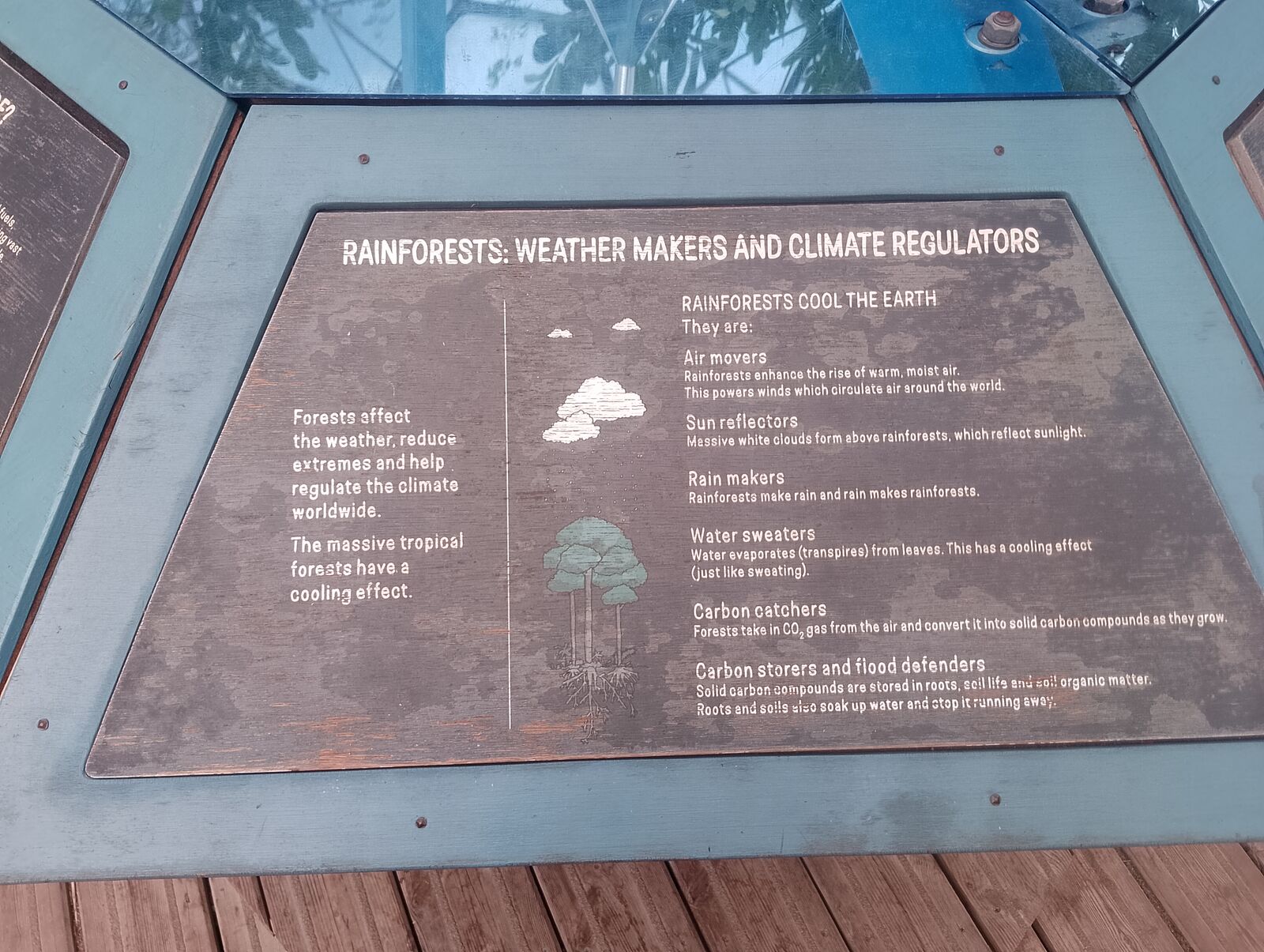 Eden Project