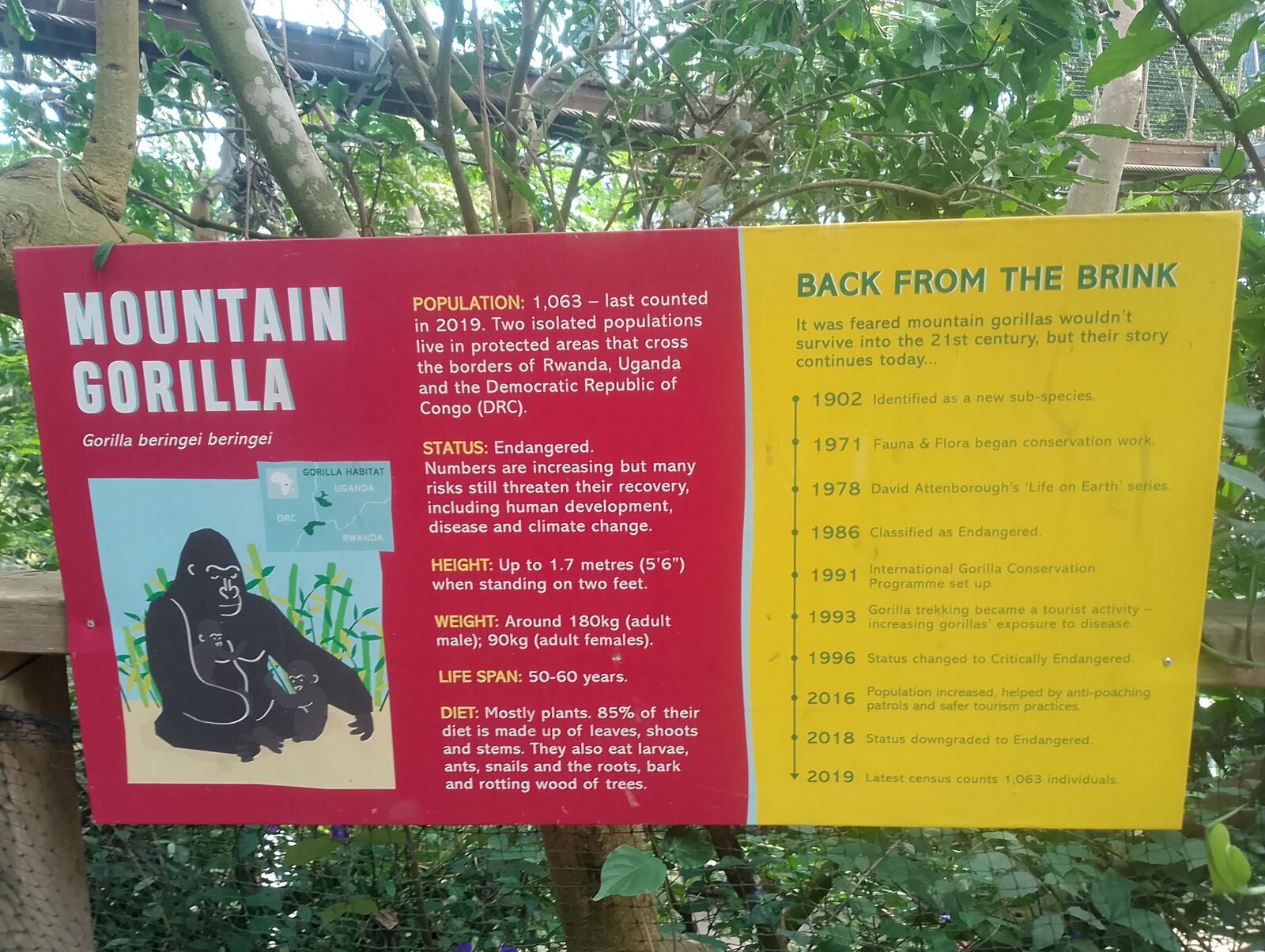 Eden Project