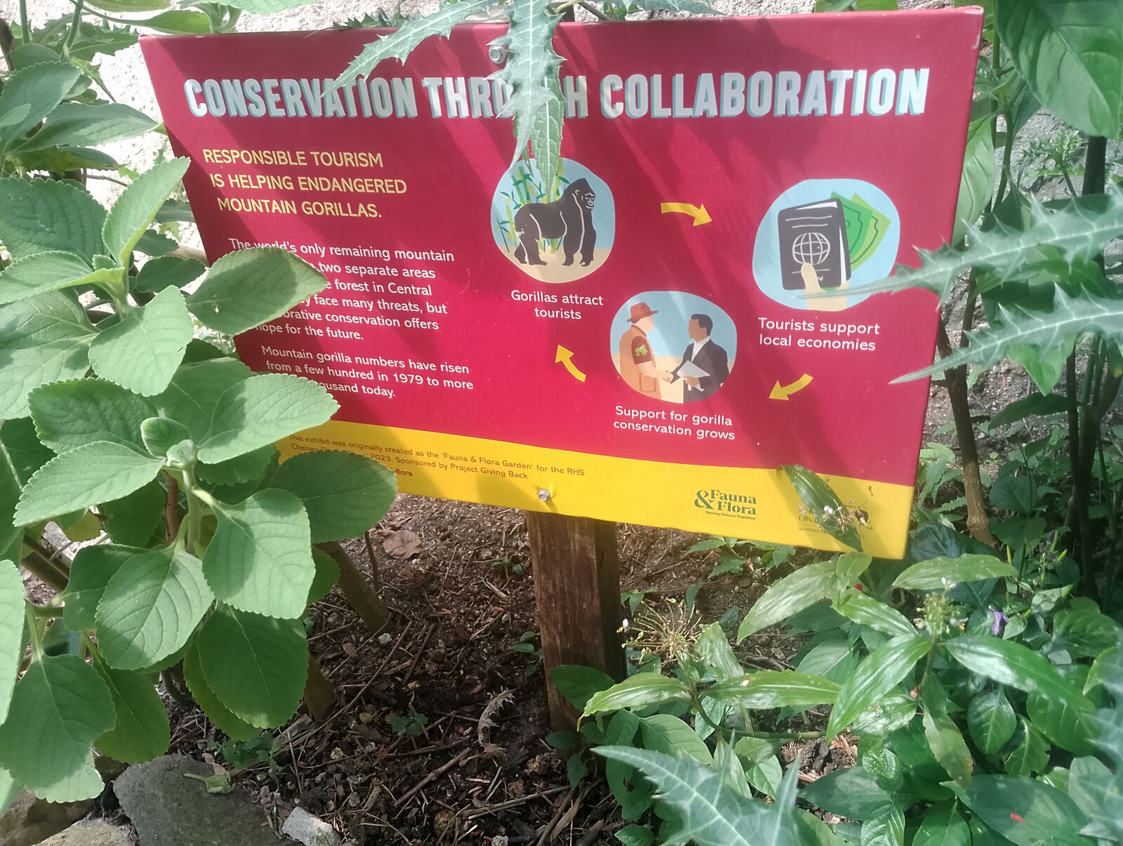 Eden Project