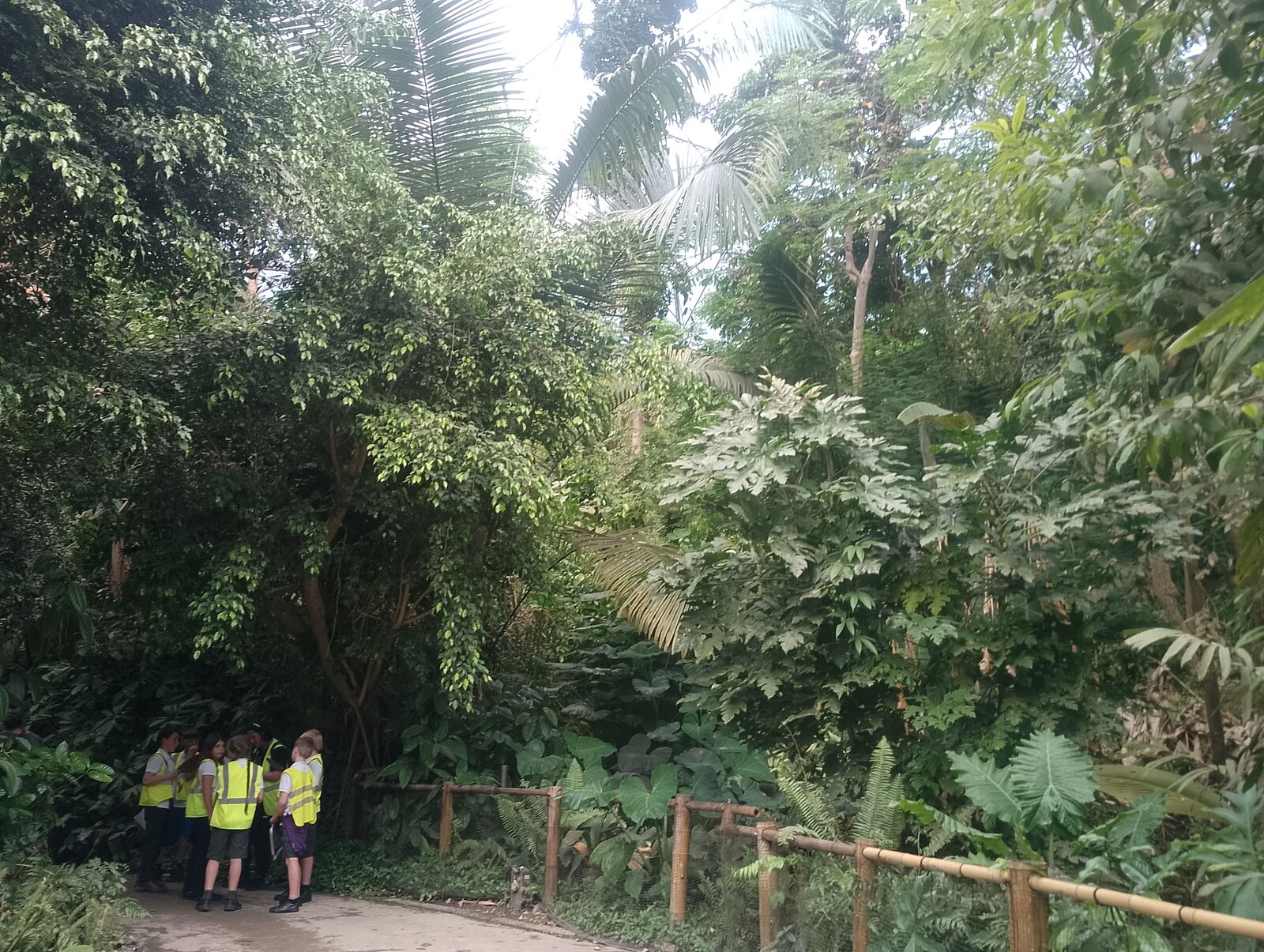 Eden Project