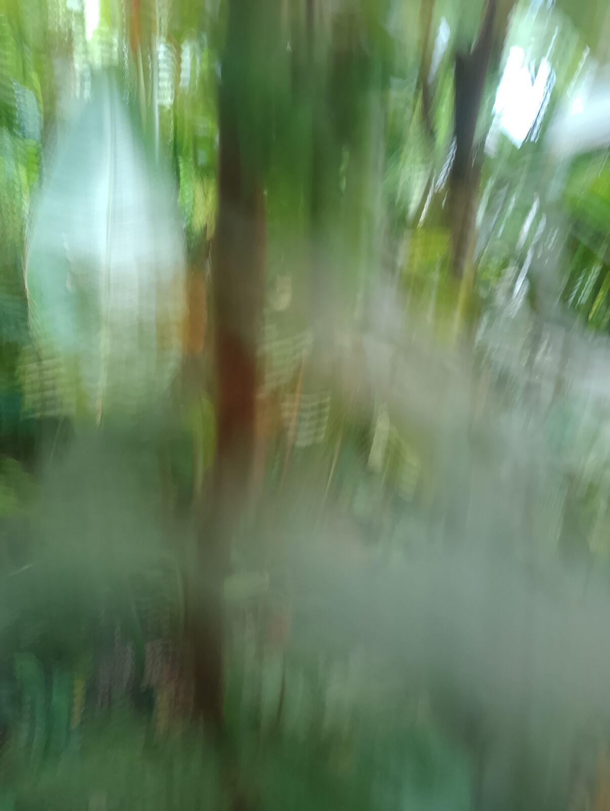 Eden Project