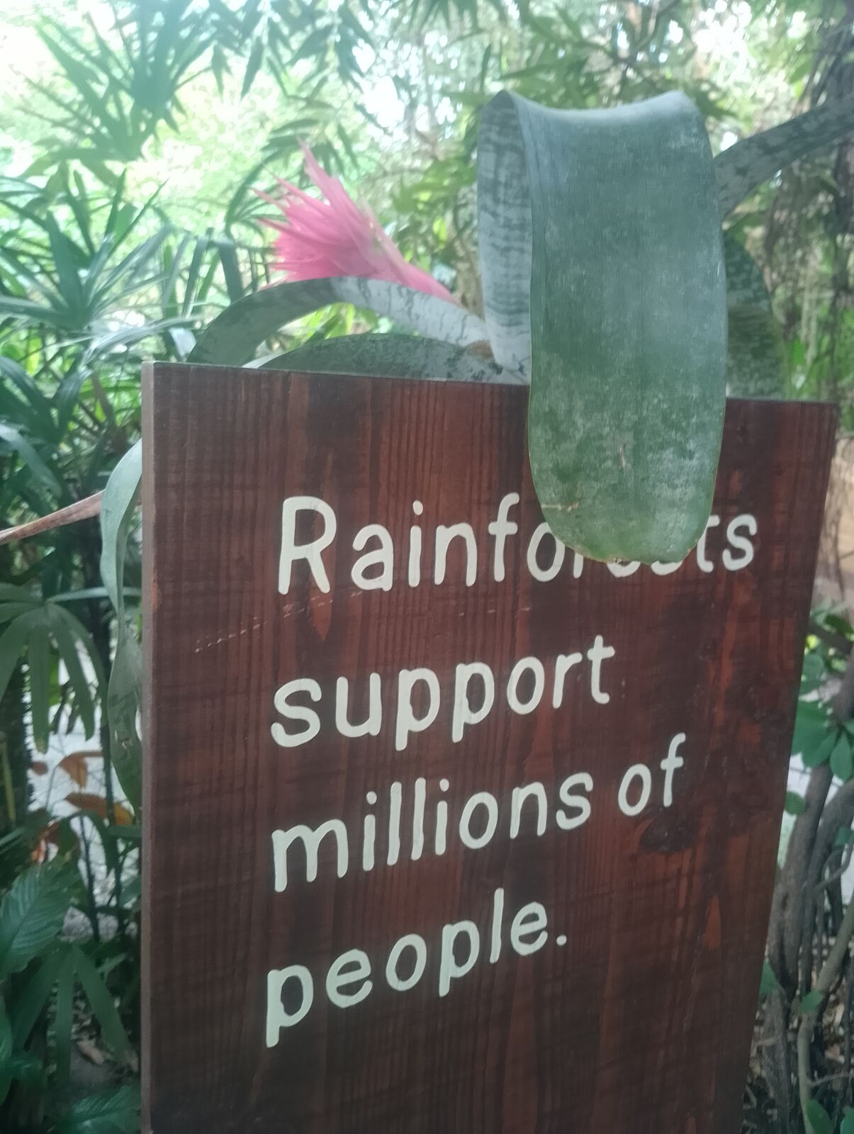 Eden Project