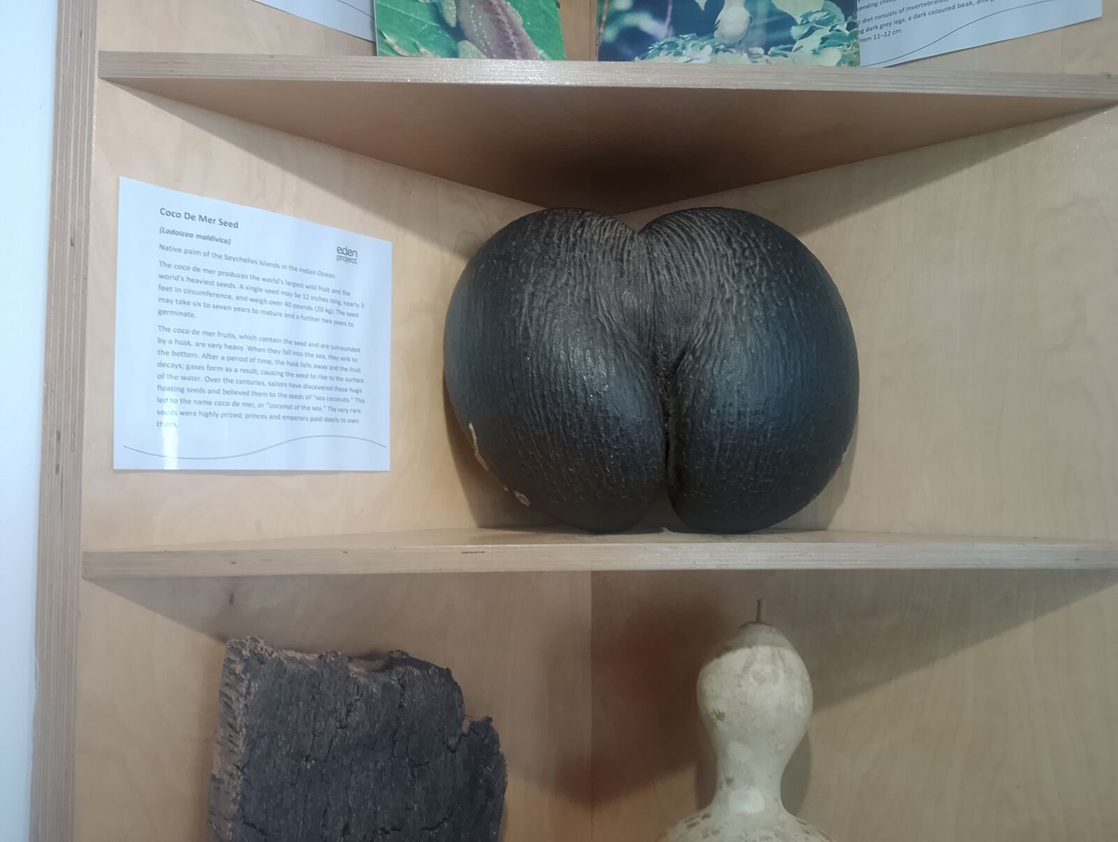 Eden Project