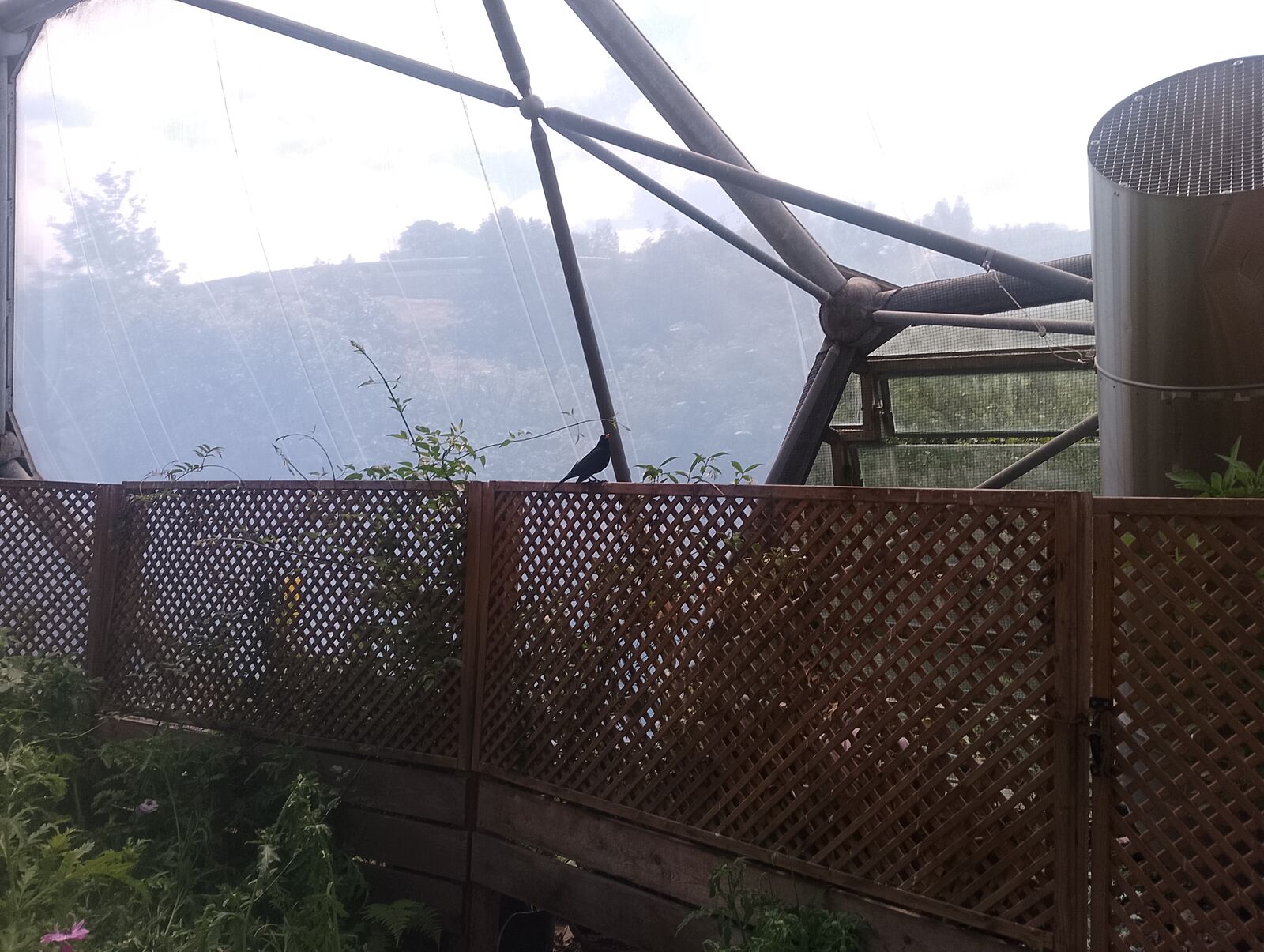 Eden Project