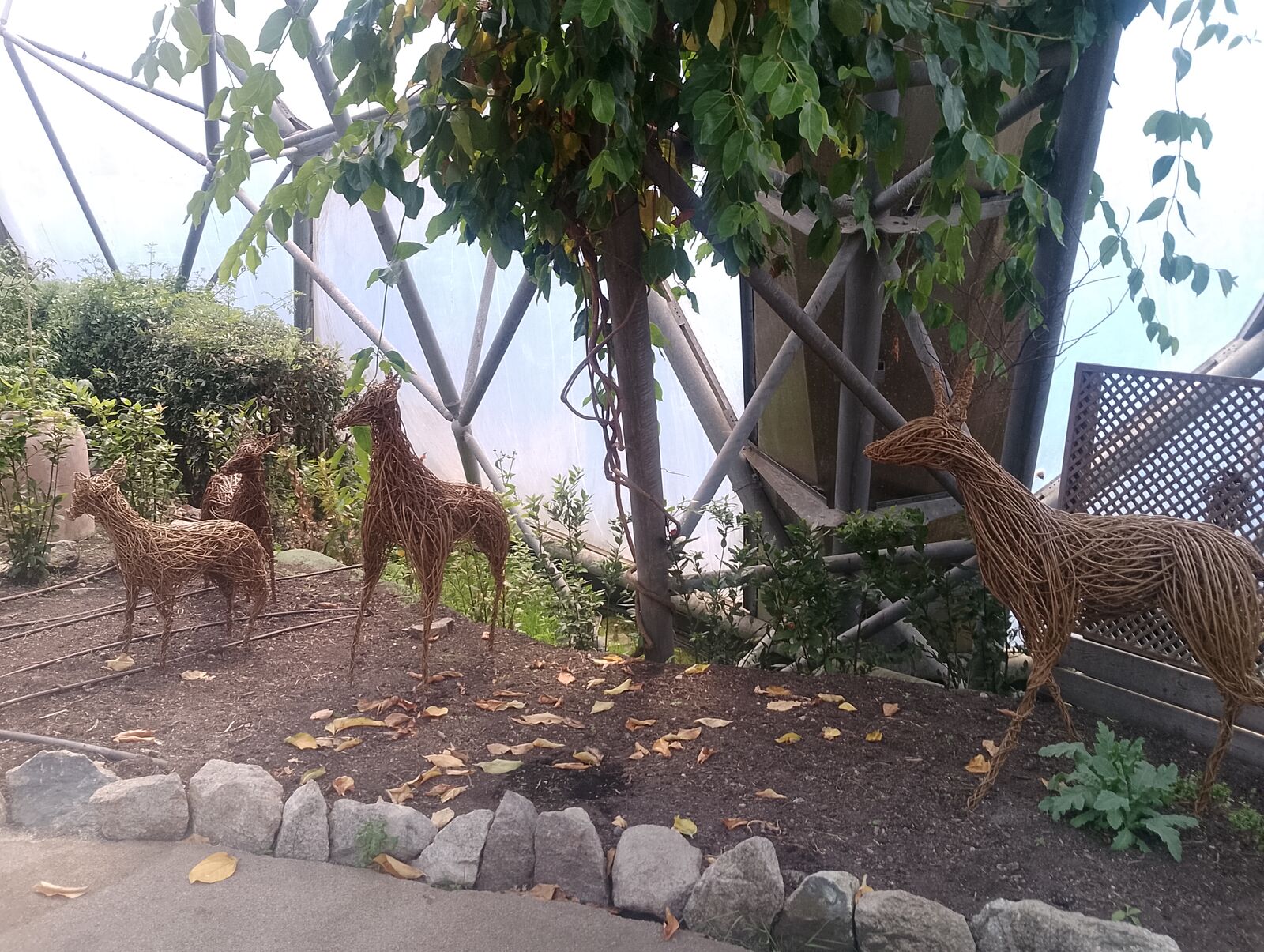 Eden Project