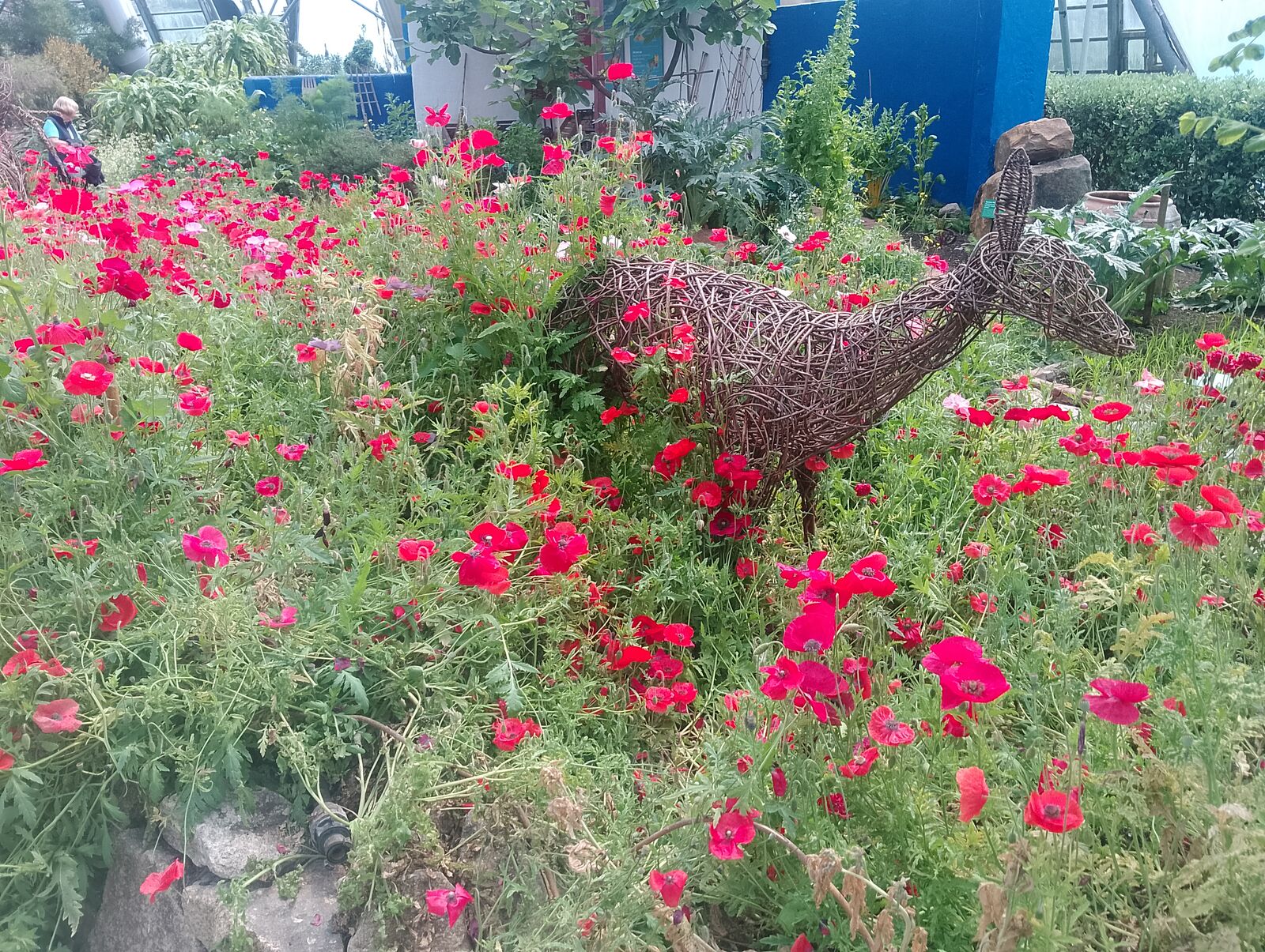 Eden Project