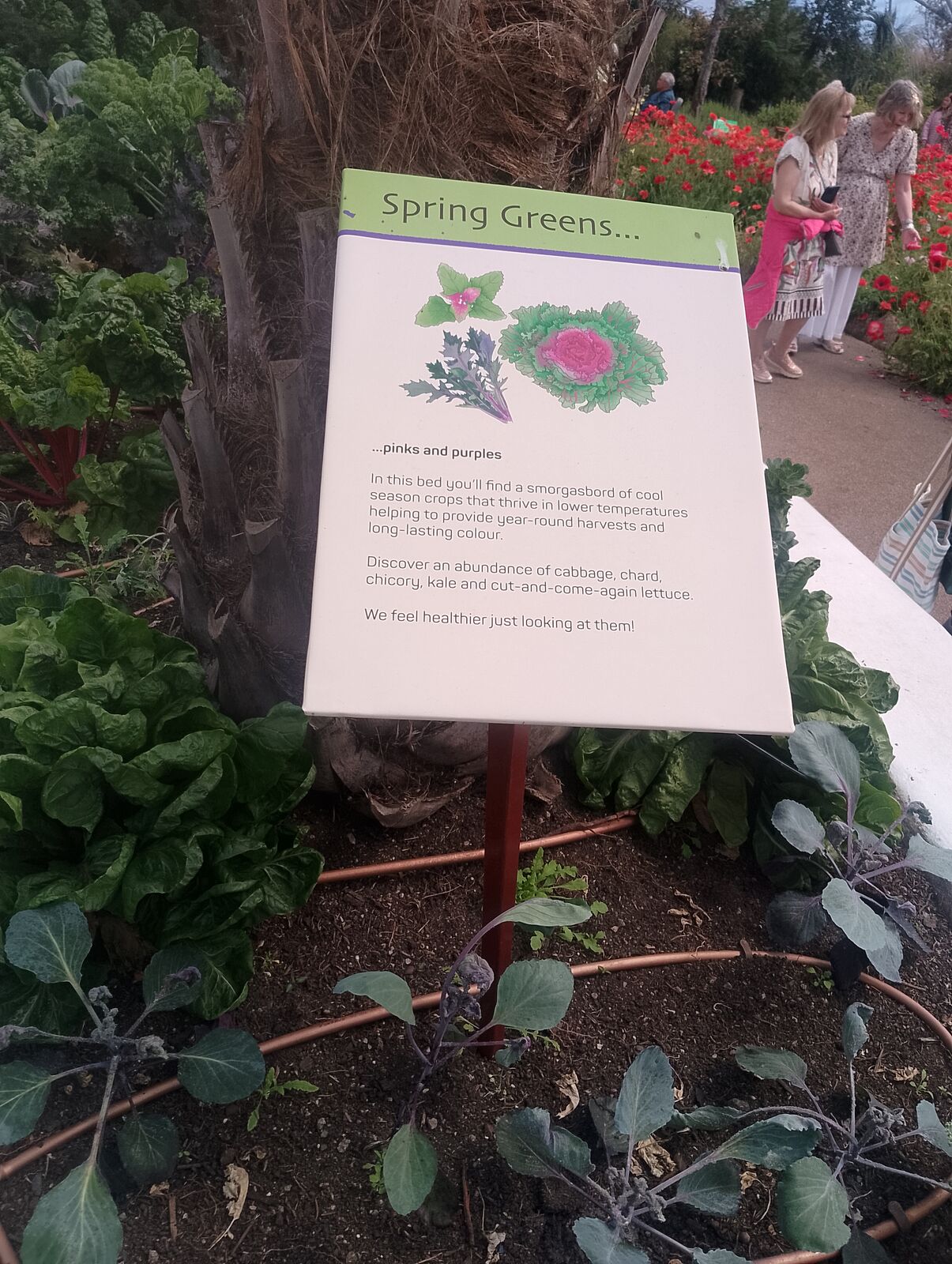 Eden Project