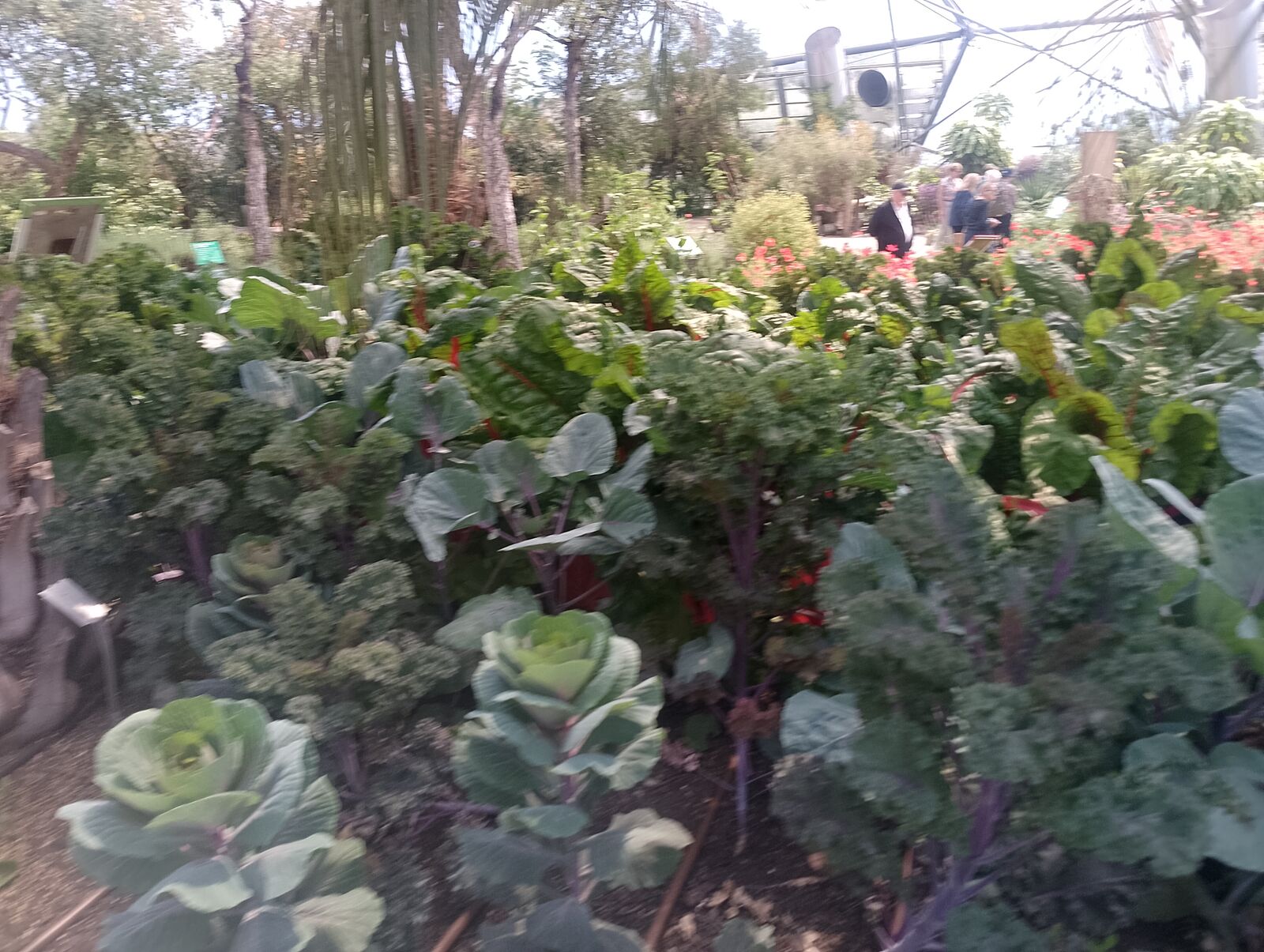 Eden Project