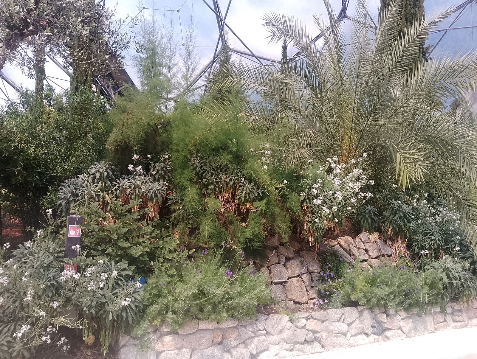 Eden Project