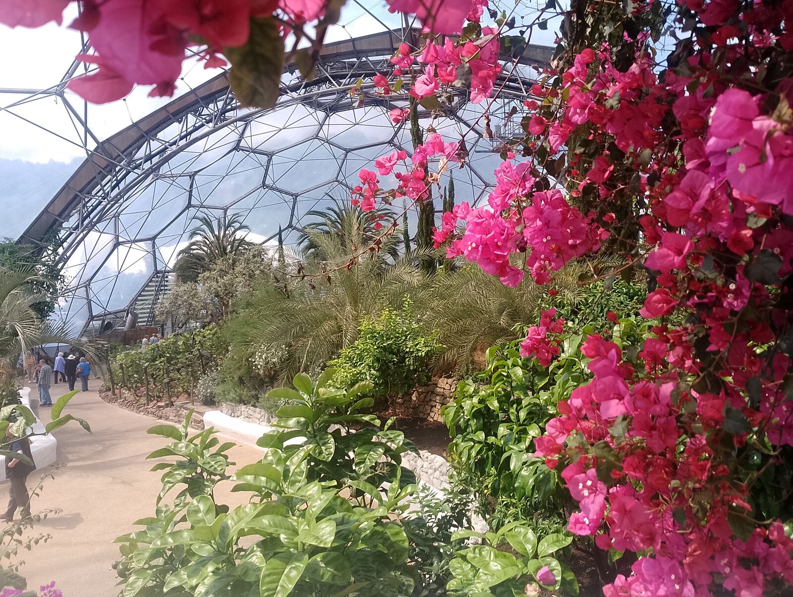 Eden Project