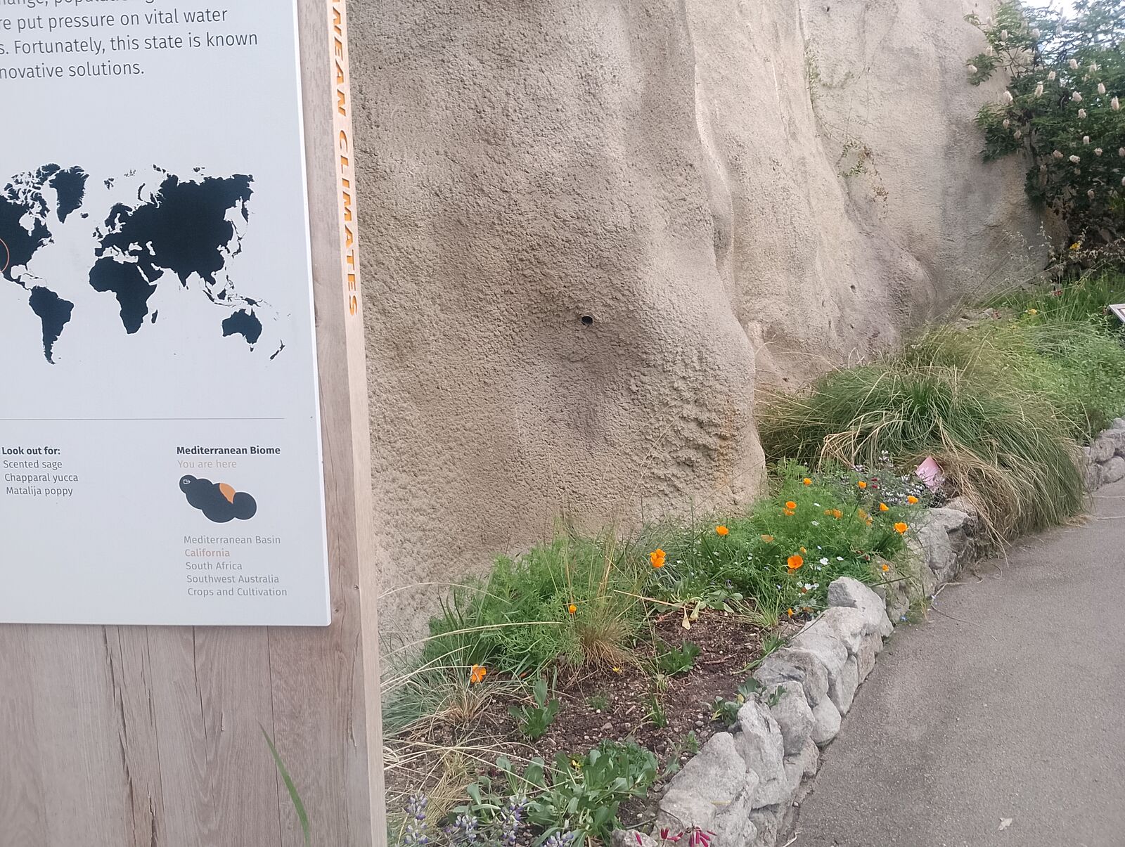 Eden Project