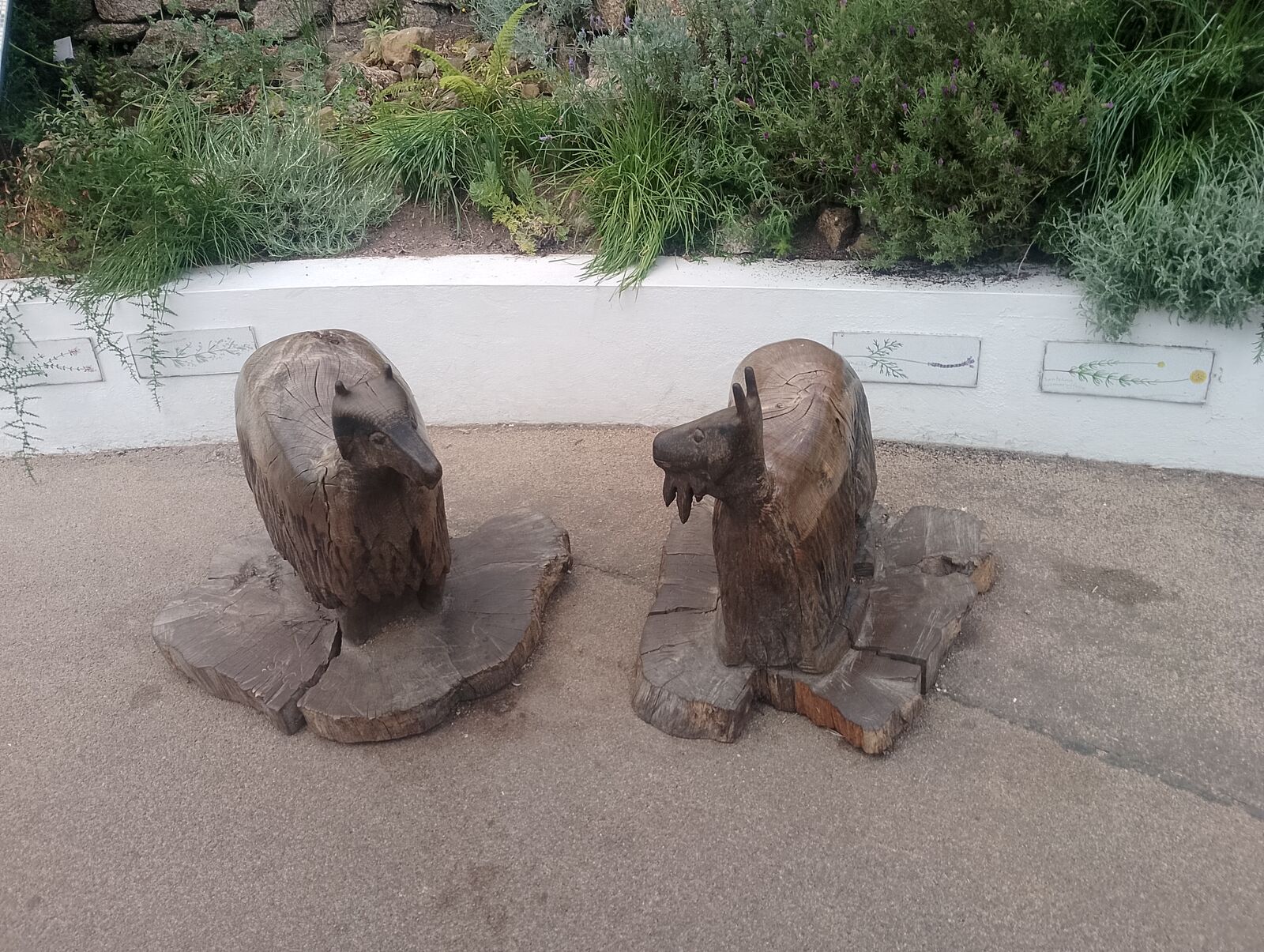 Eden Project