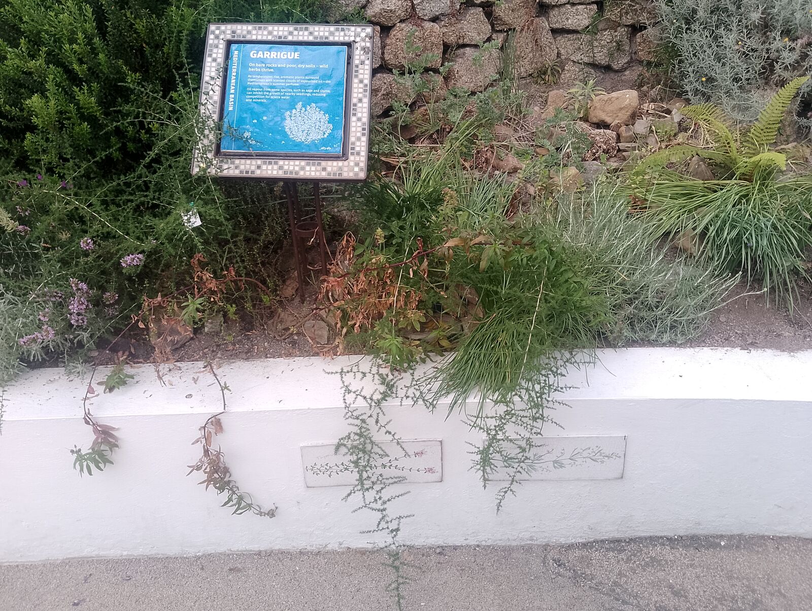 Eden Project